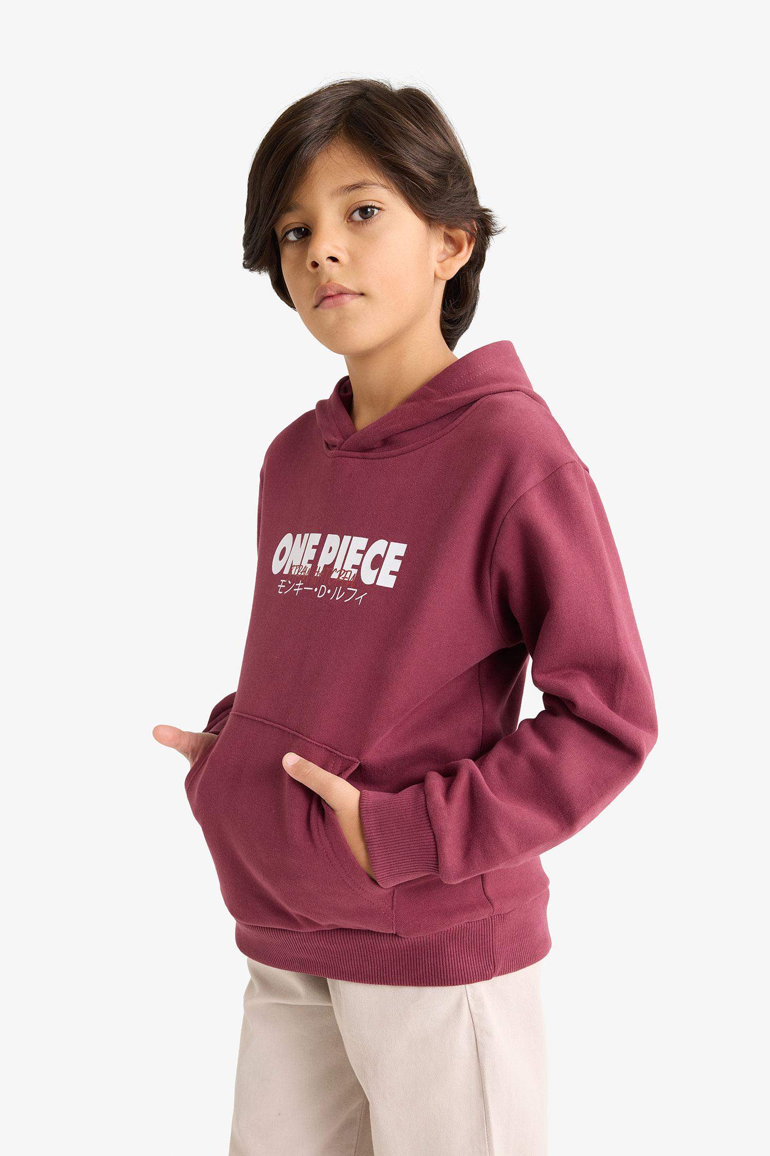 Erkek Çocuk One Piece Kapüşonlu İçi Yumuşak Tüylü Sırt Baskılı Sweatshirt 