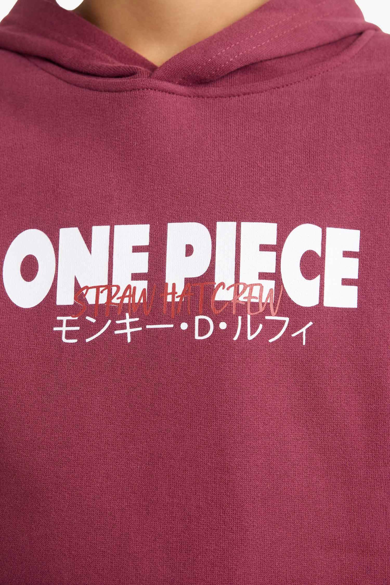 Erkek Çocuk One Piece Kapüşonlu İçi Yumuşak Tüylü Sırt Baskılı Sweatshirt 