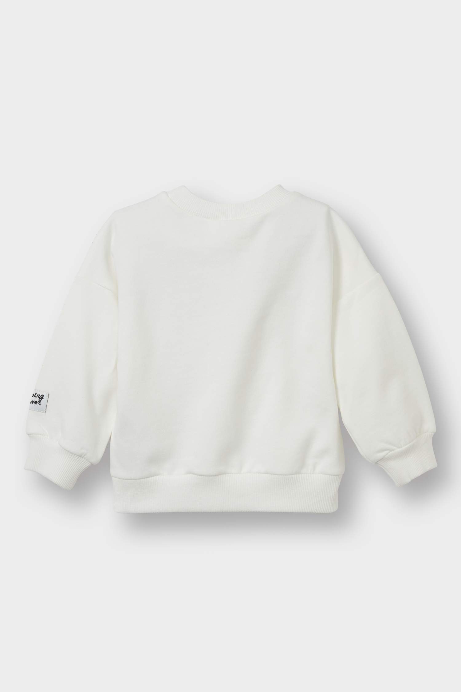 Erkek Bebek 2'li Takım Basic Düz Sweatshirt Fitilli Kadife Salopet