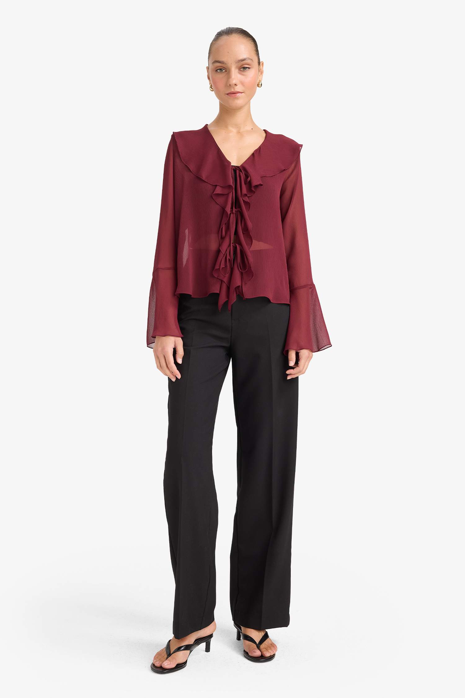 Regular Fit V-Neck Chiffon Long Sleeve Blouse