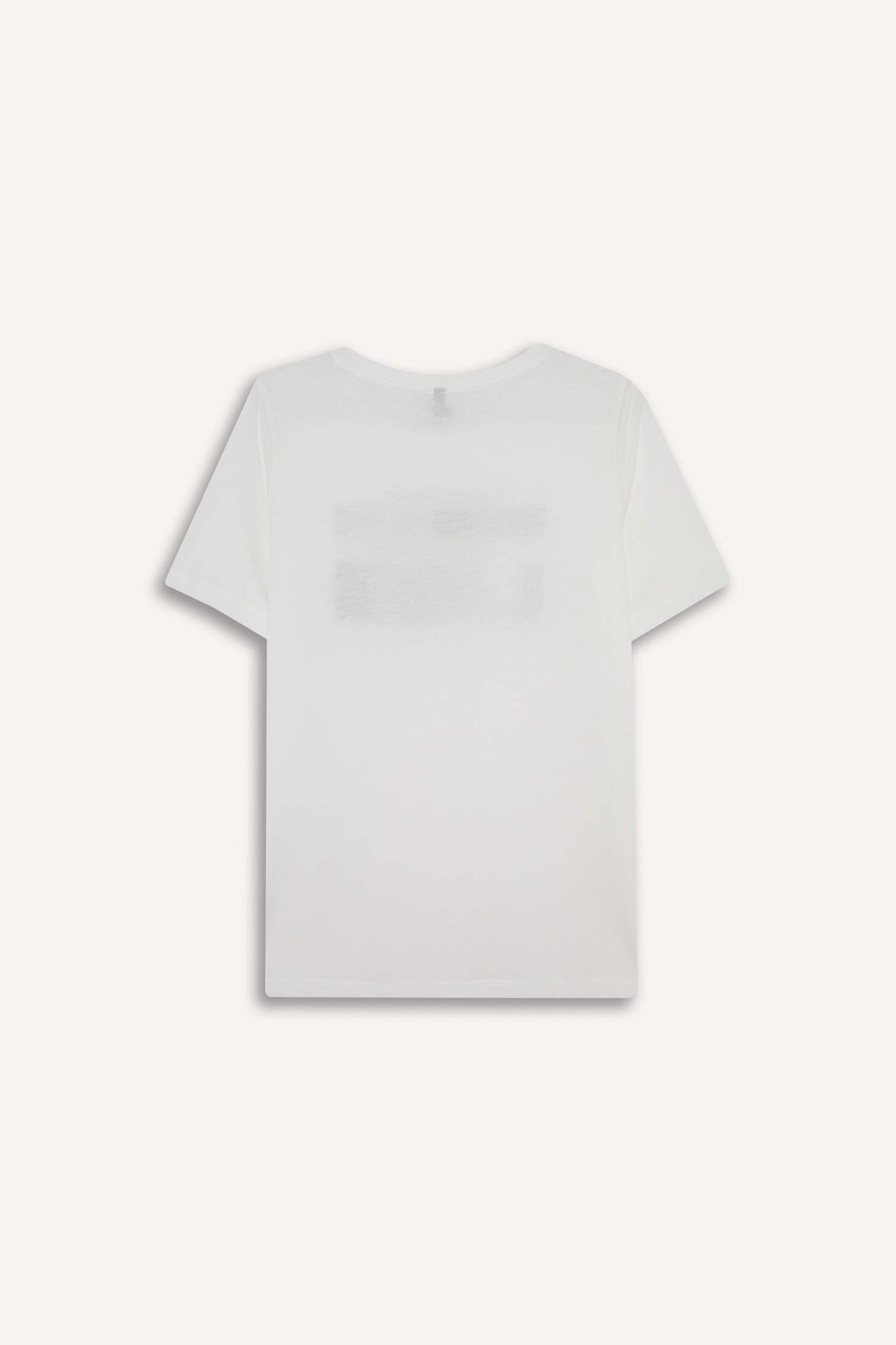 Regular Fit Bisiklet Yaka Kısa Kollu Tişört