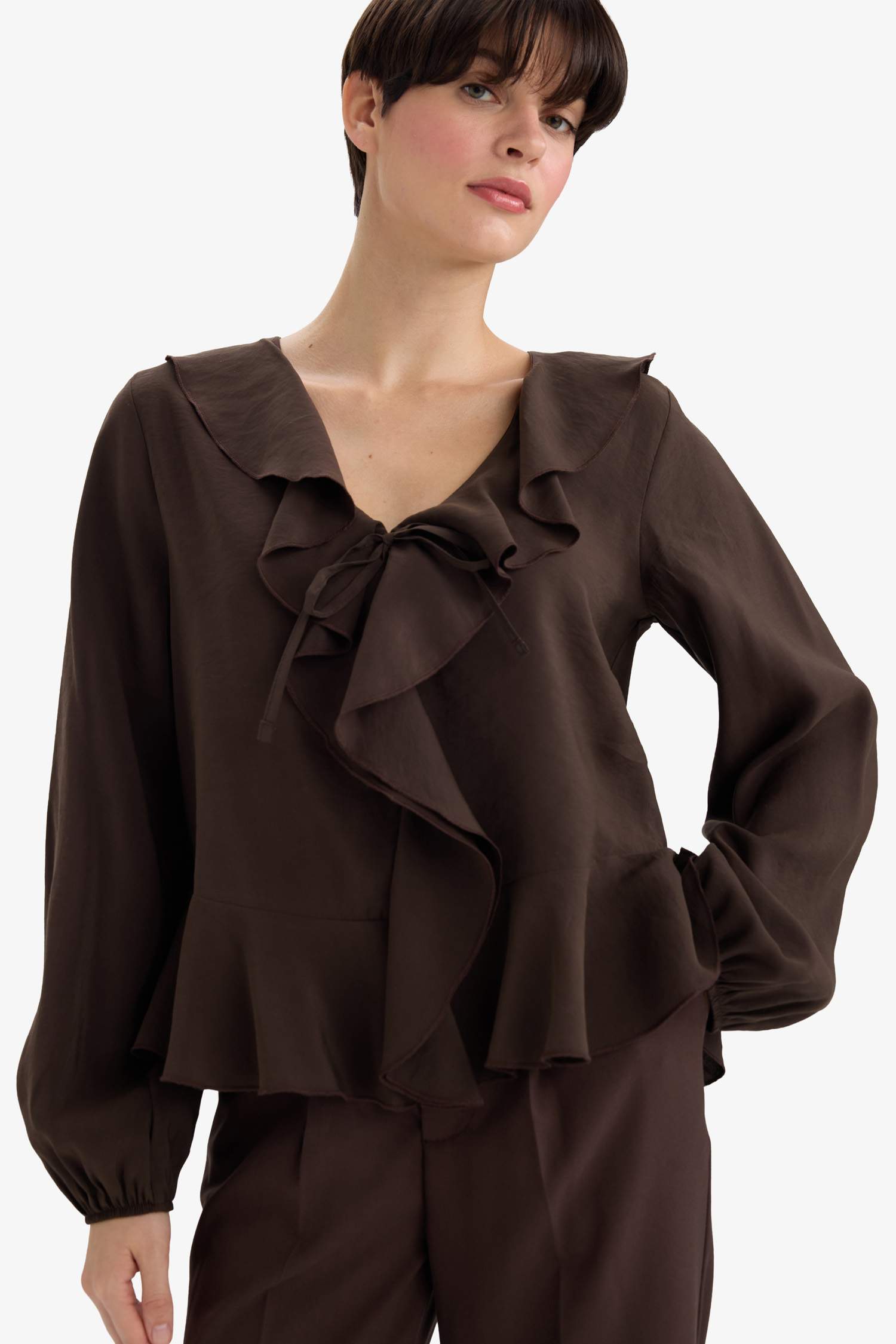 Regular Fit V-Neck Long Sleeve Blouse