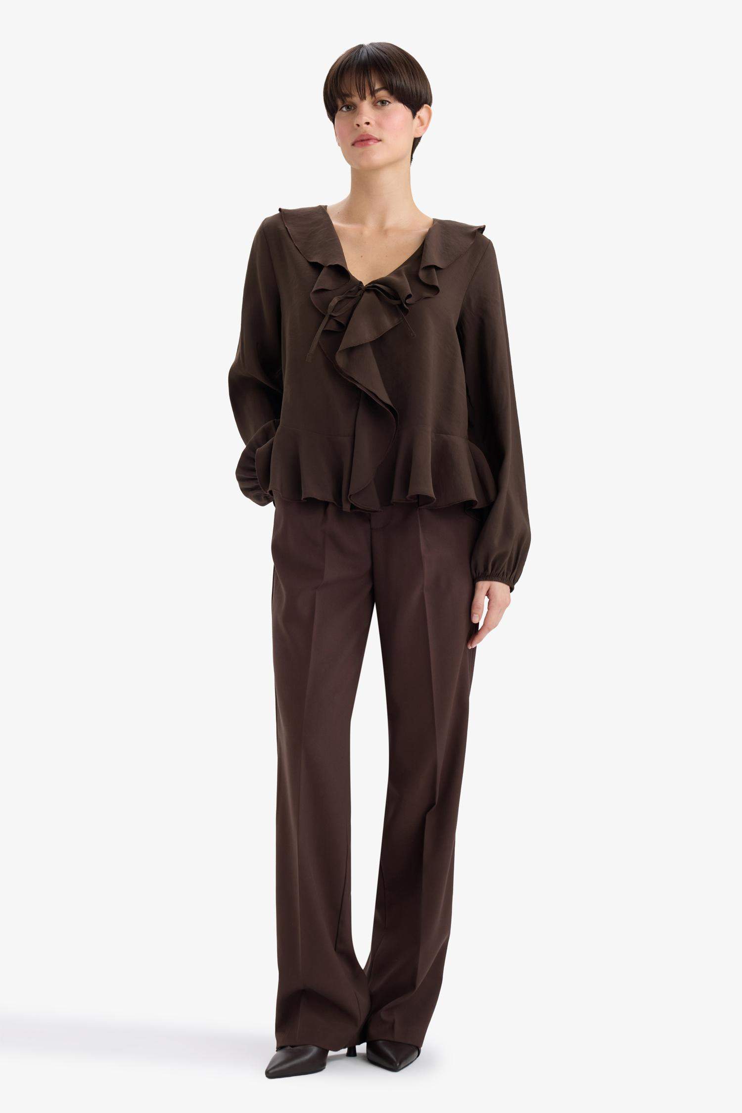 Regular Fit V-Neck Long Sleeve Blouse