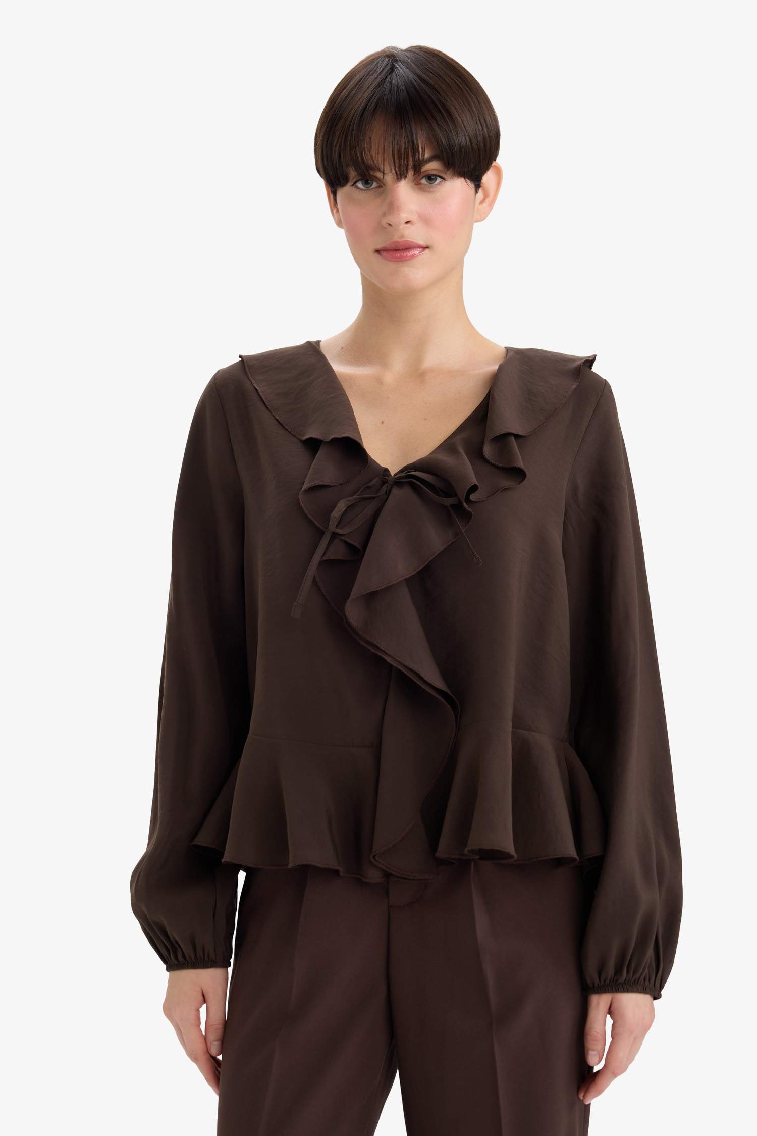 Regular Fit V-Neck Long Sleeve Blouse