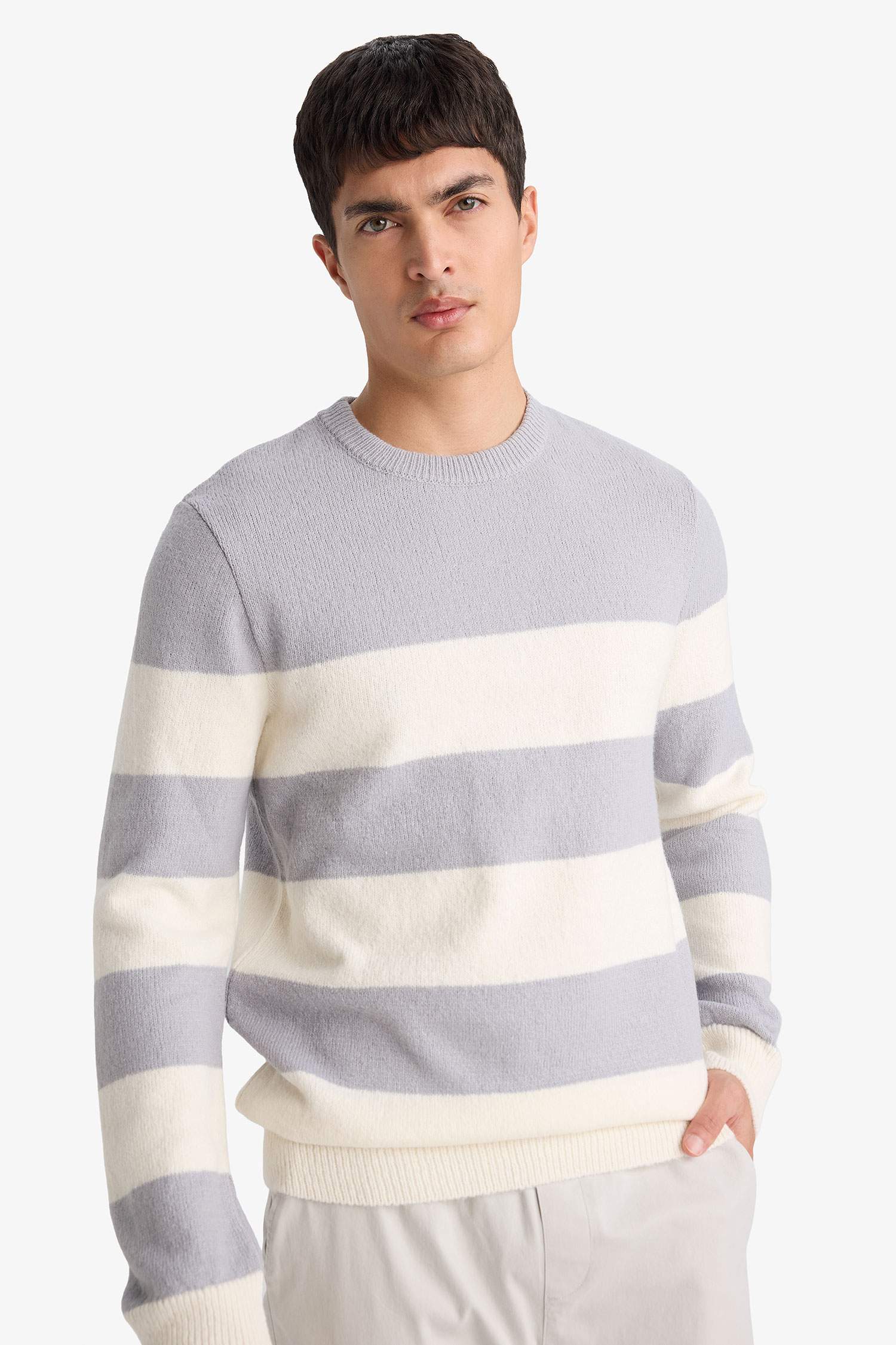 Pull tricot à col rond Coupe standard