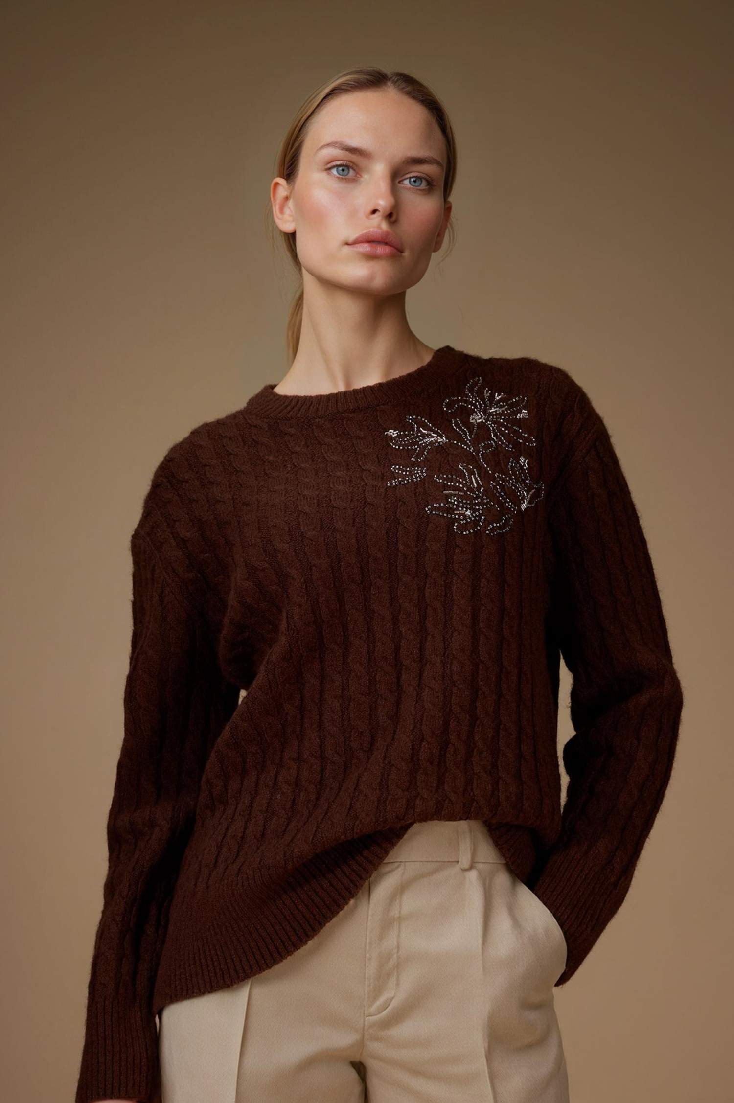 Regular Fit Crew Neck Knitwear Pullover