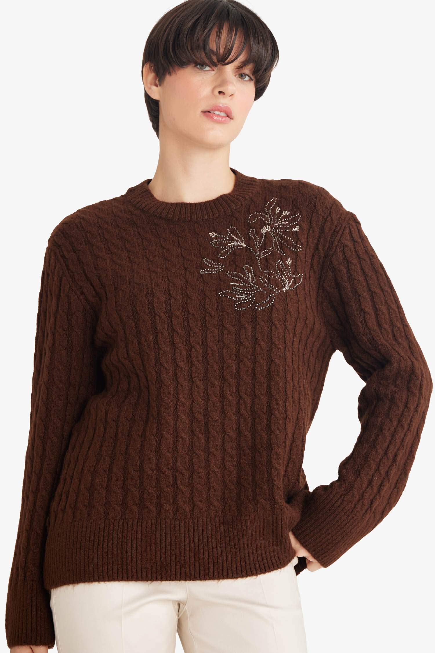 Regular Fit Crew Neck Knitwear Pullover