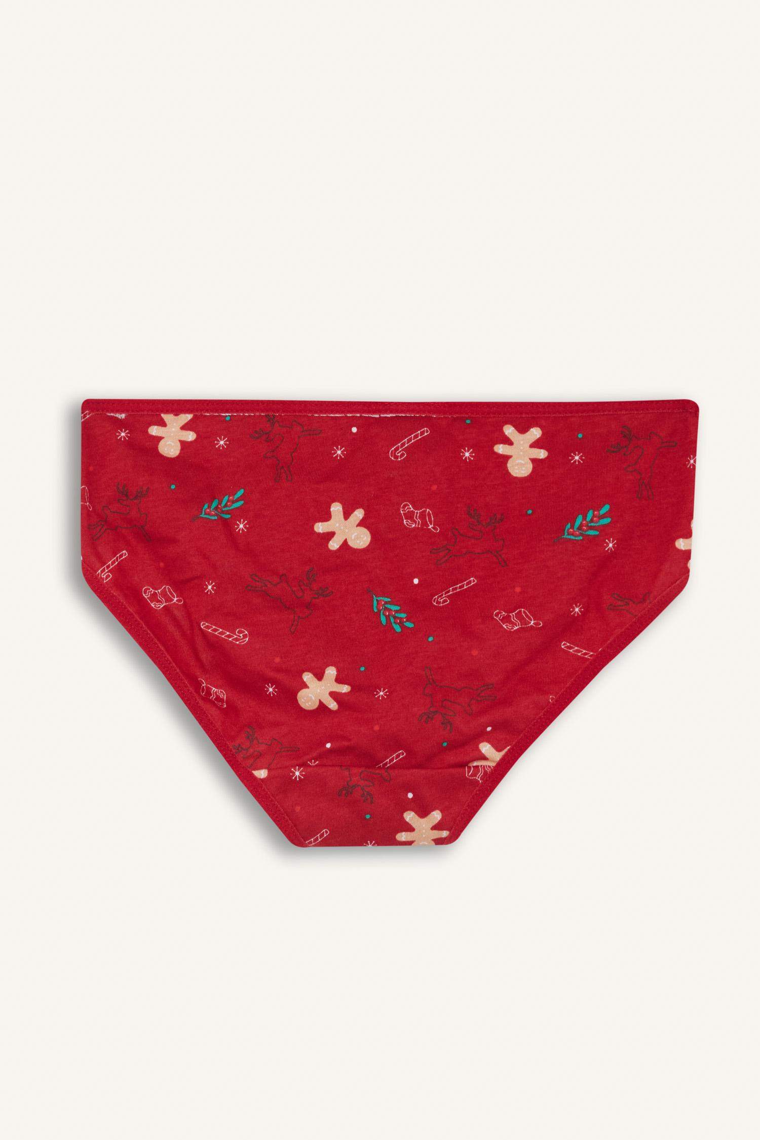 Kız Çocuk Yılbaşı Temalı Penye Slip Külot