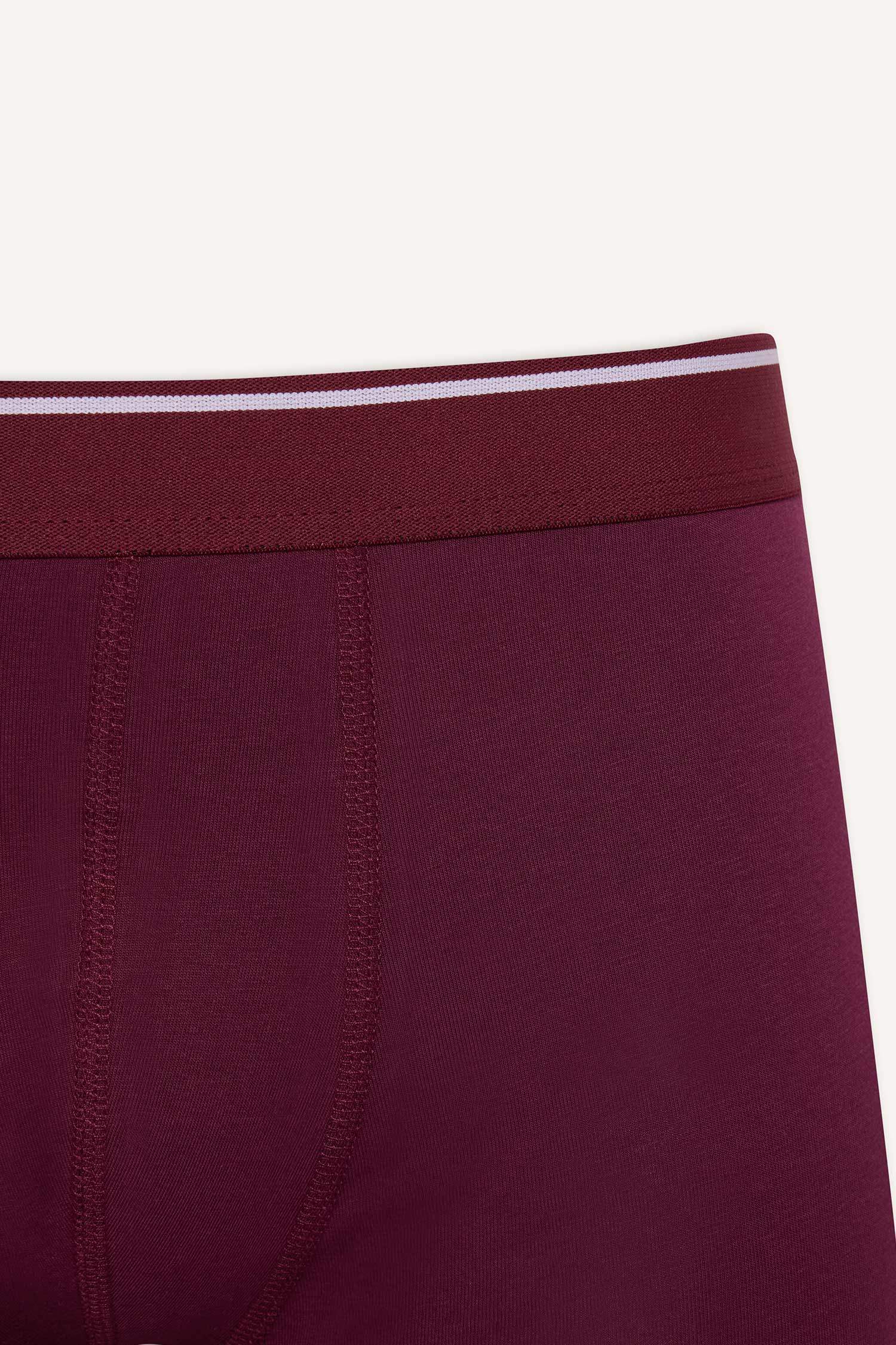 Regular Fit 3'lü Boxer