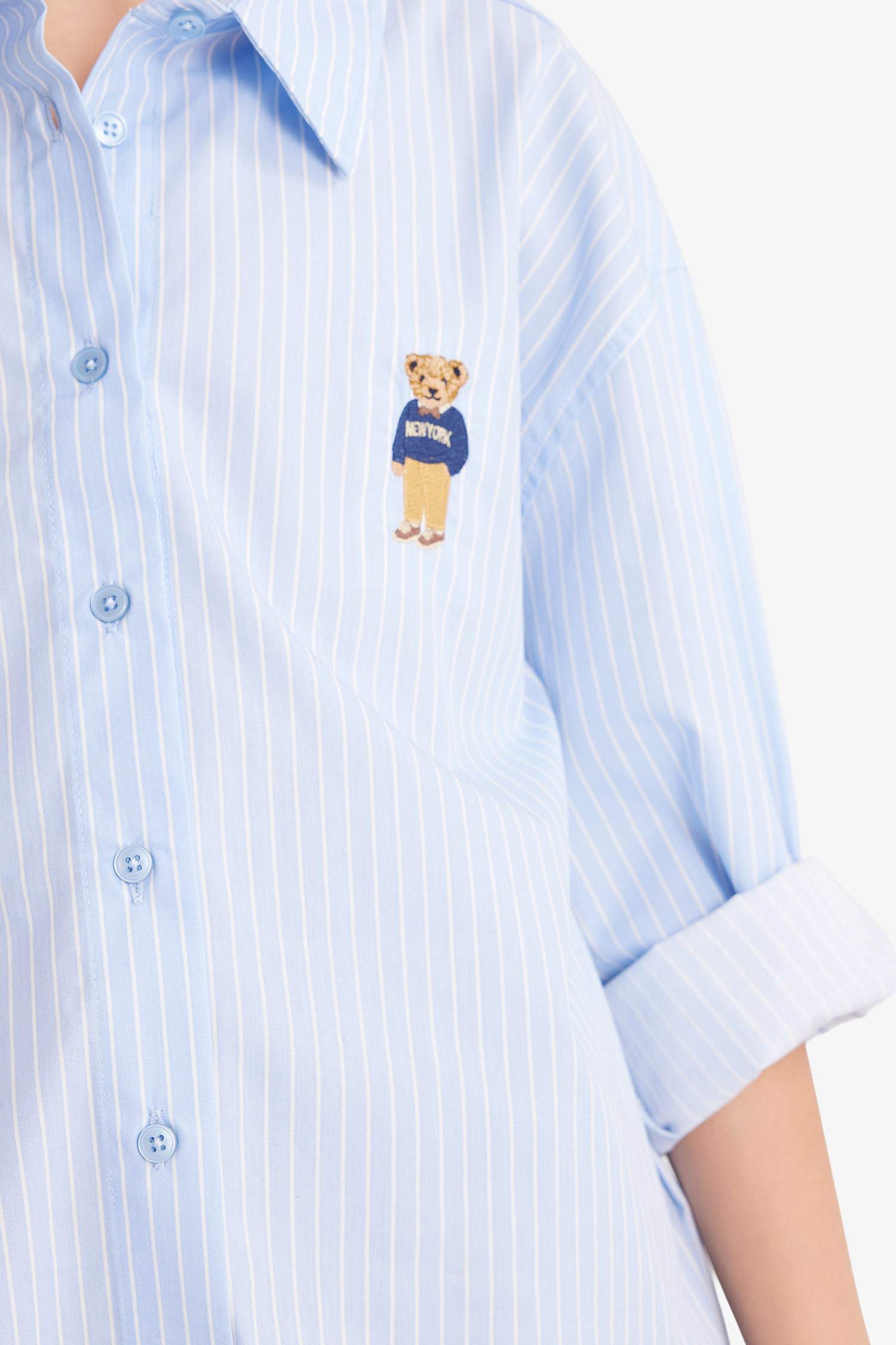 Regular Fit Long Sleeve Shirt