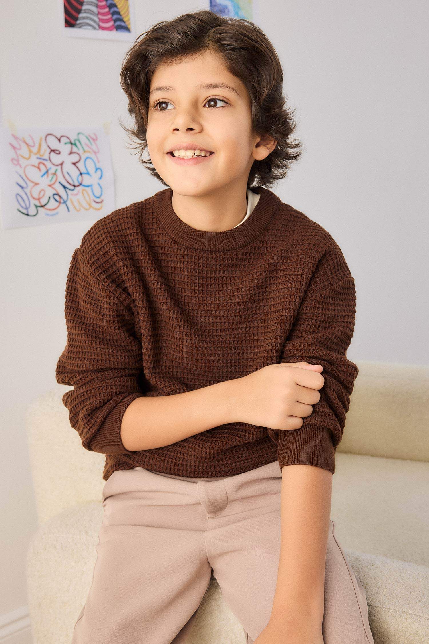 Boy Regular Fit Crew Neck Pullover