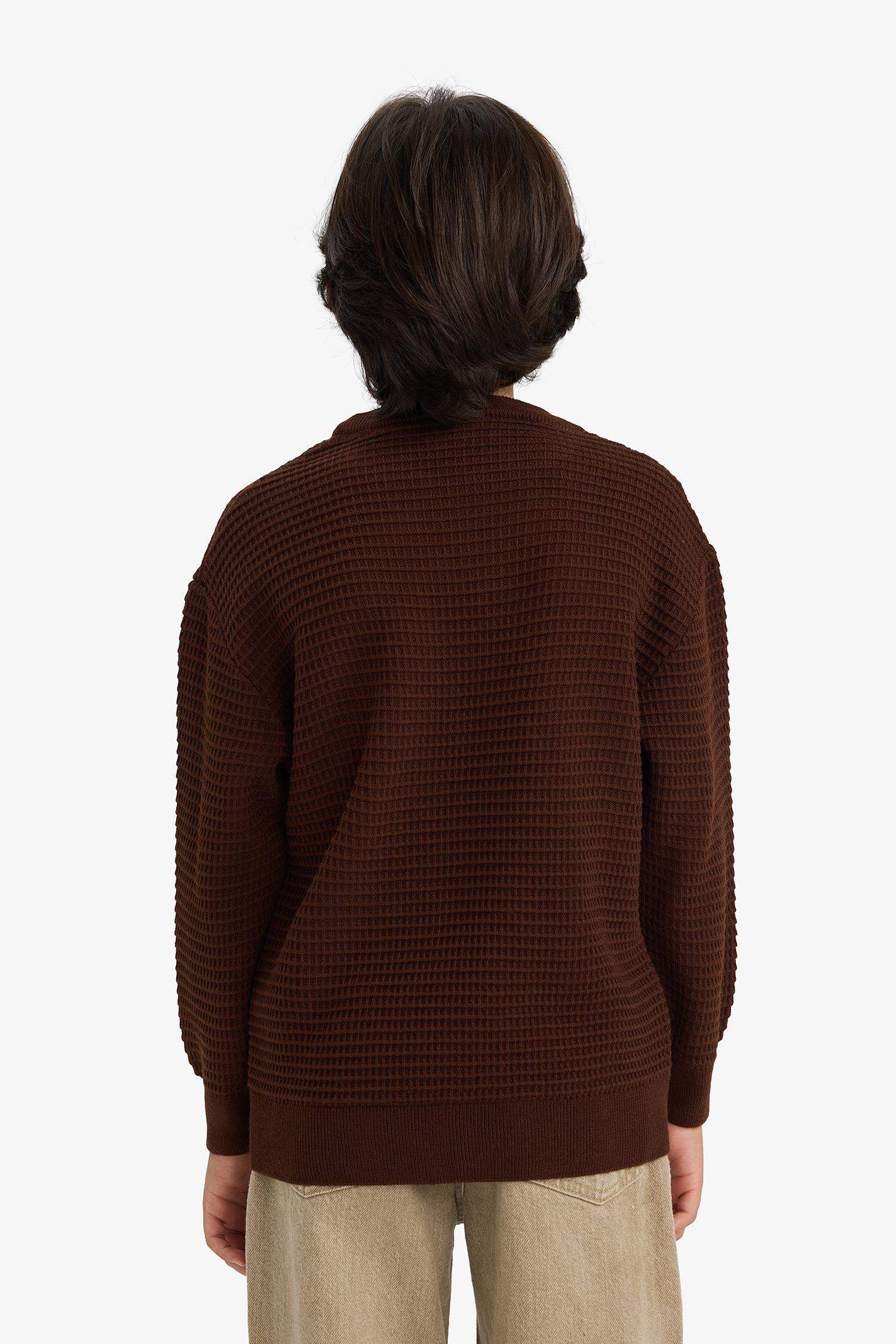 Boy Regular Fit Crew Neck Pullover