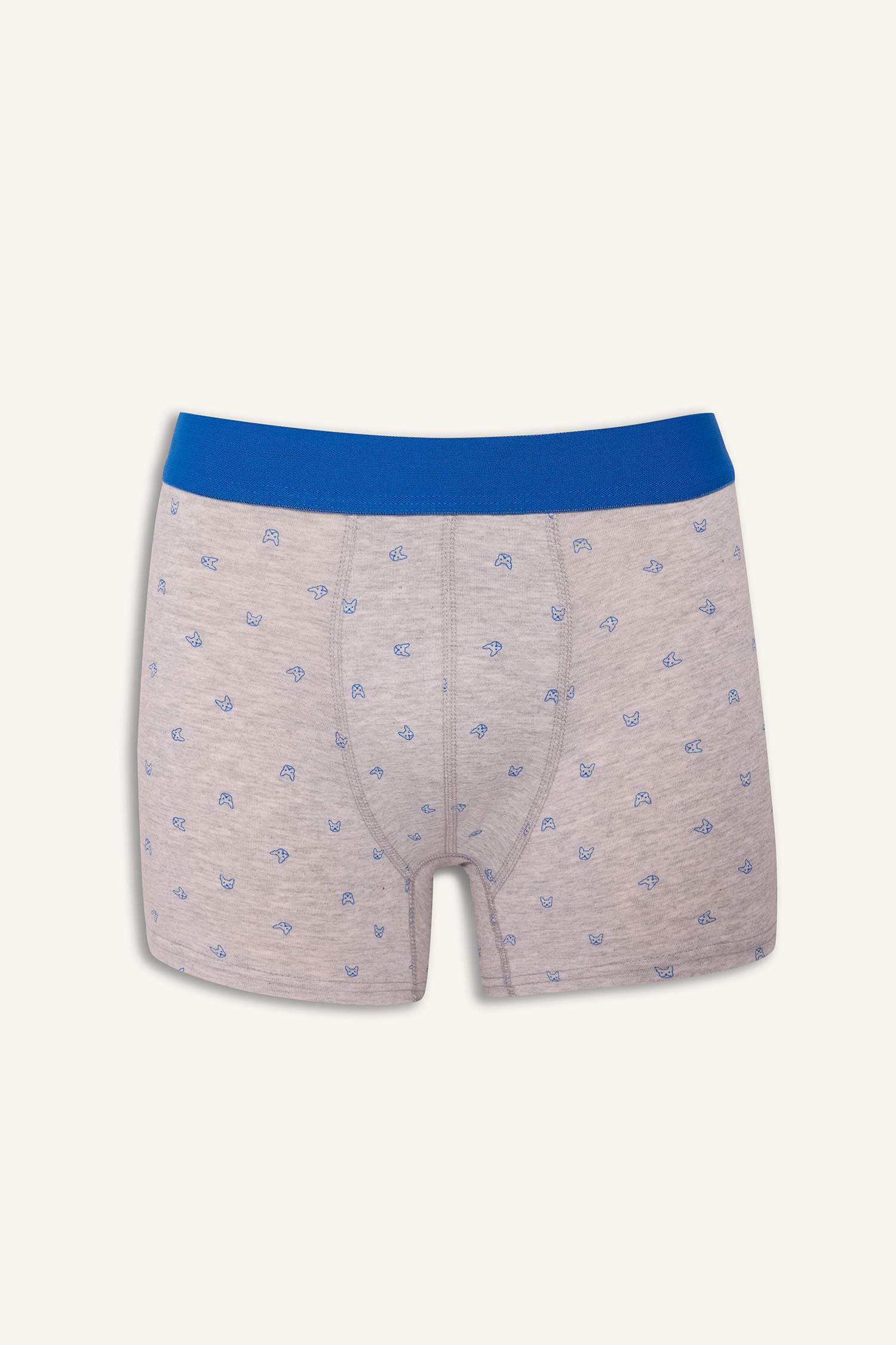 Regular Fit Baskılı 3'lü Boxer