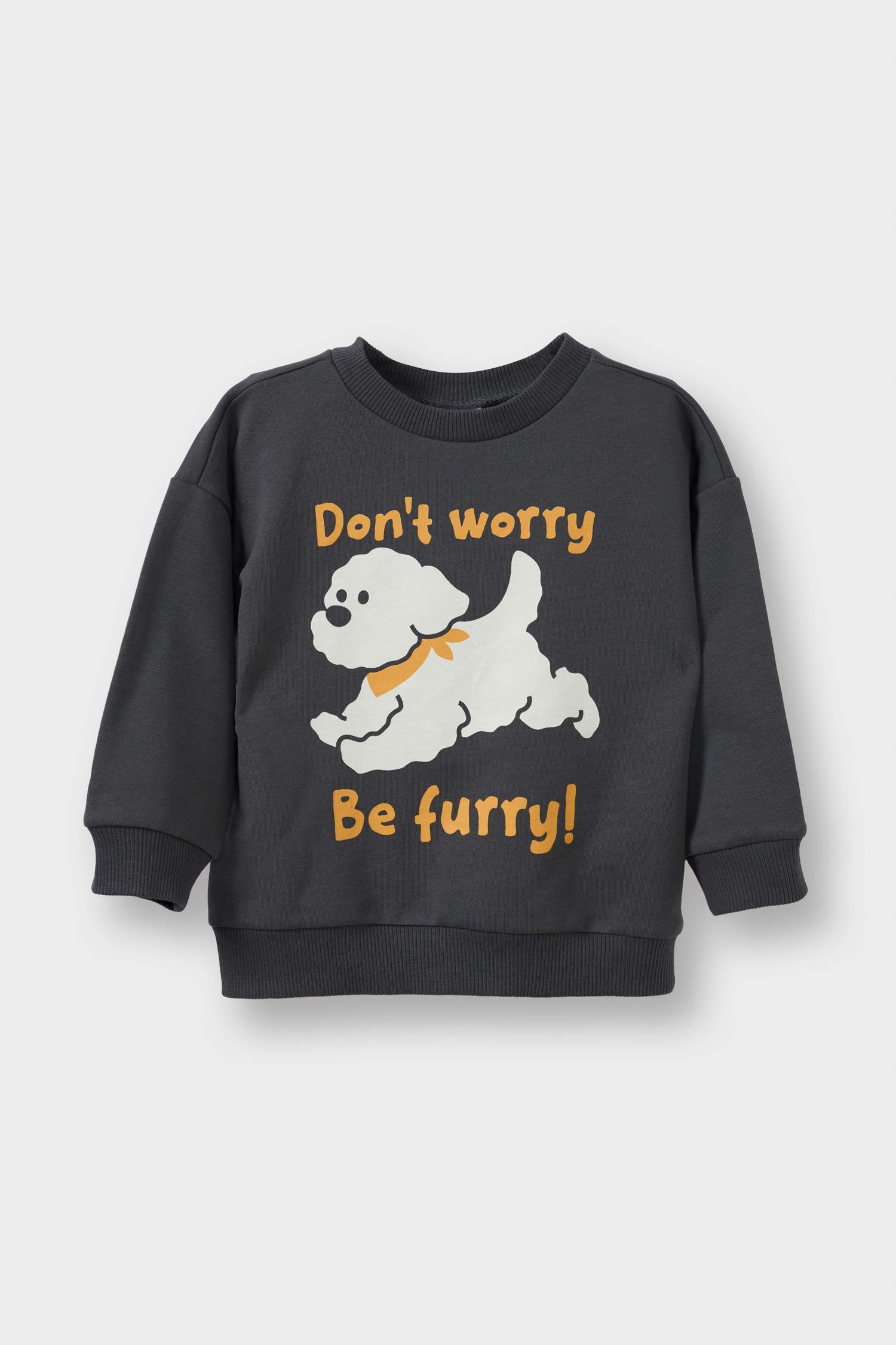 Erkek Bebek Bisiklet Yaka İçi Yumuşak Tüylü 2'li Sweatshirt