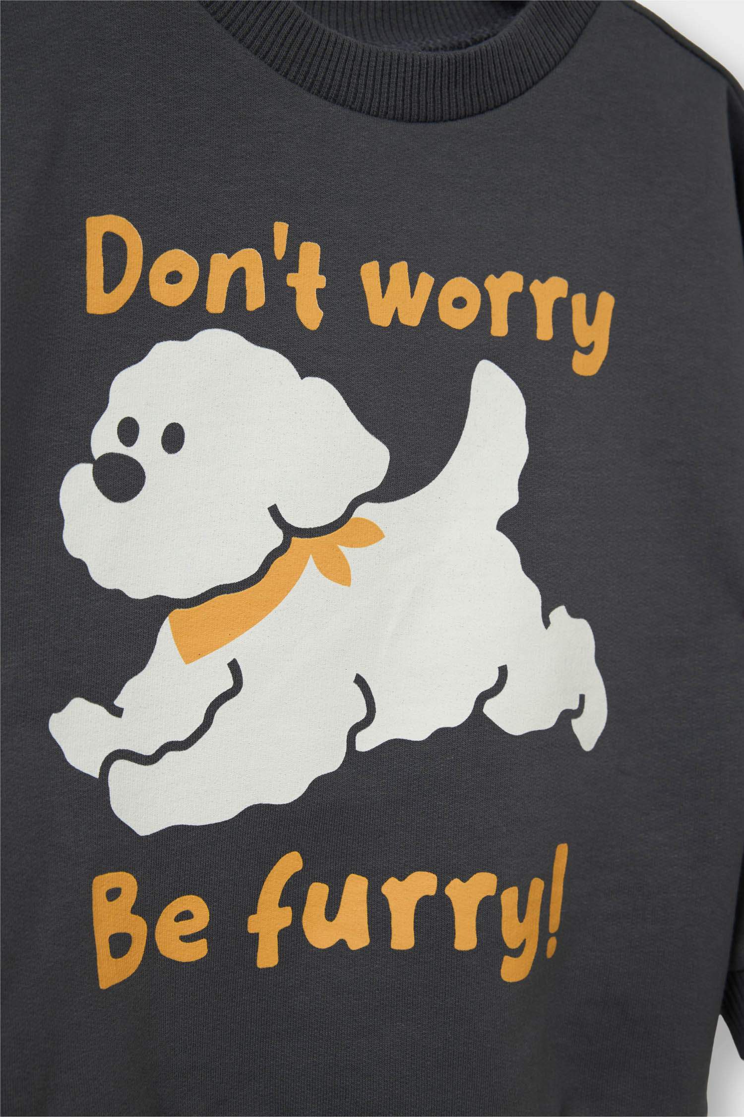 Erkek Bebek Bisiklet Yaka İçi Yumuşak Tüylü 2'li Sweatshirt