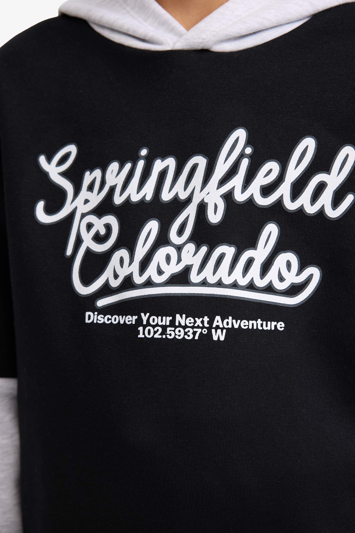 New Regular Fit Hooded Sweatshirt