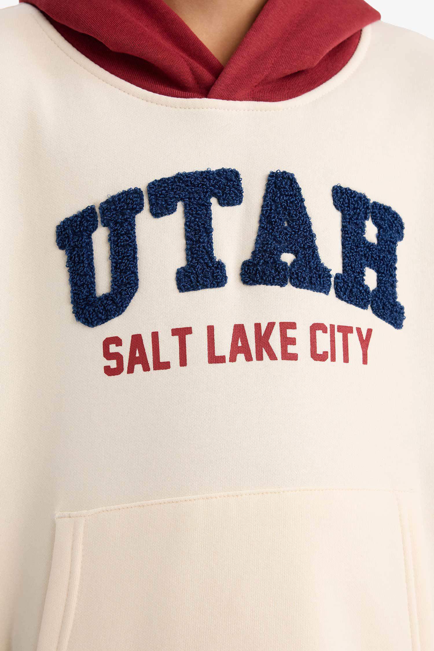 Sweat- Shirt Coupe Oversize À capuche Imprimé