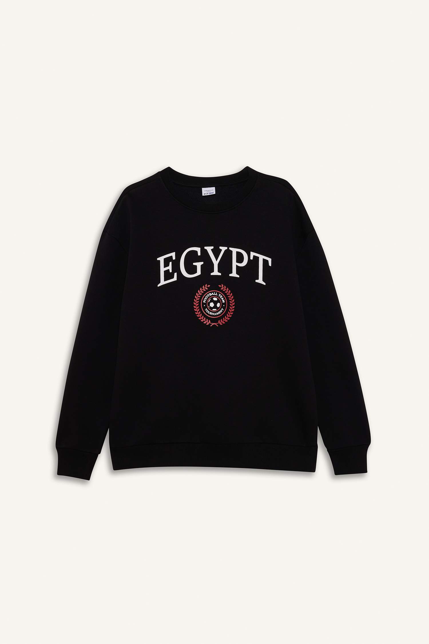 Boxy Fit Egypt Printed Sweatshirt
