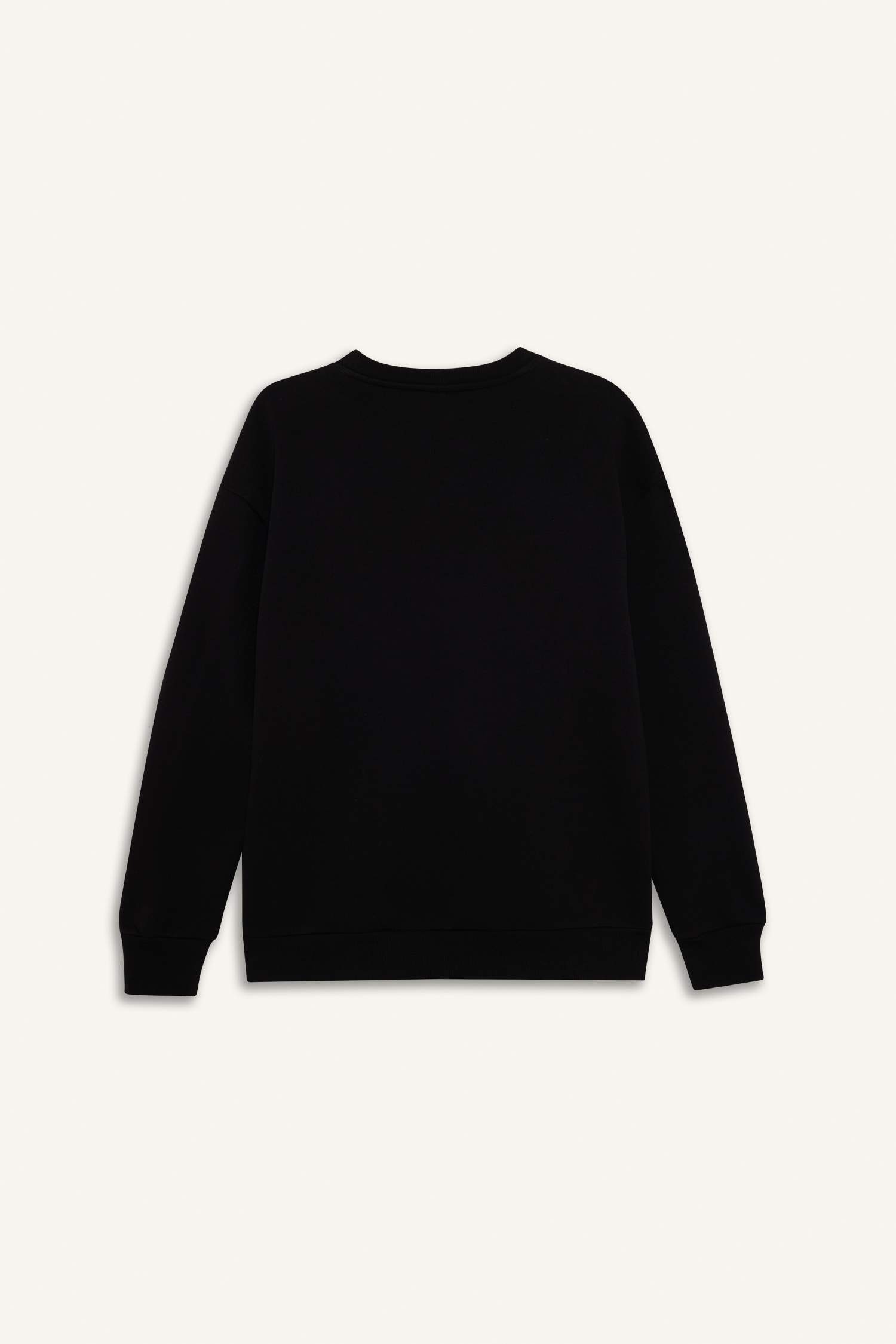 Boxy Fit Egypt Printed Sweatshirt