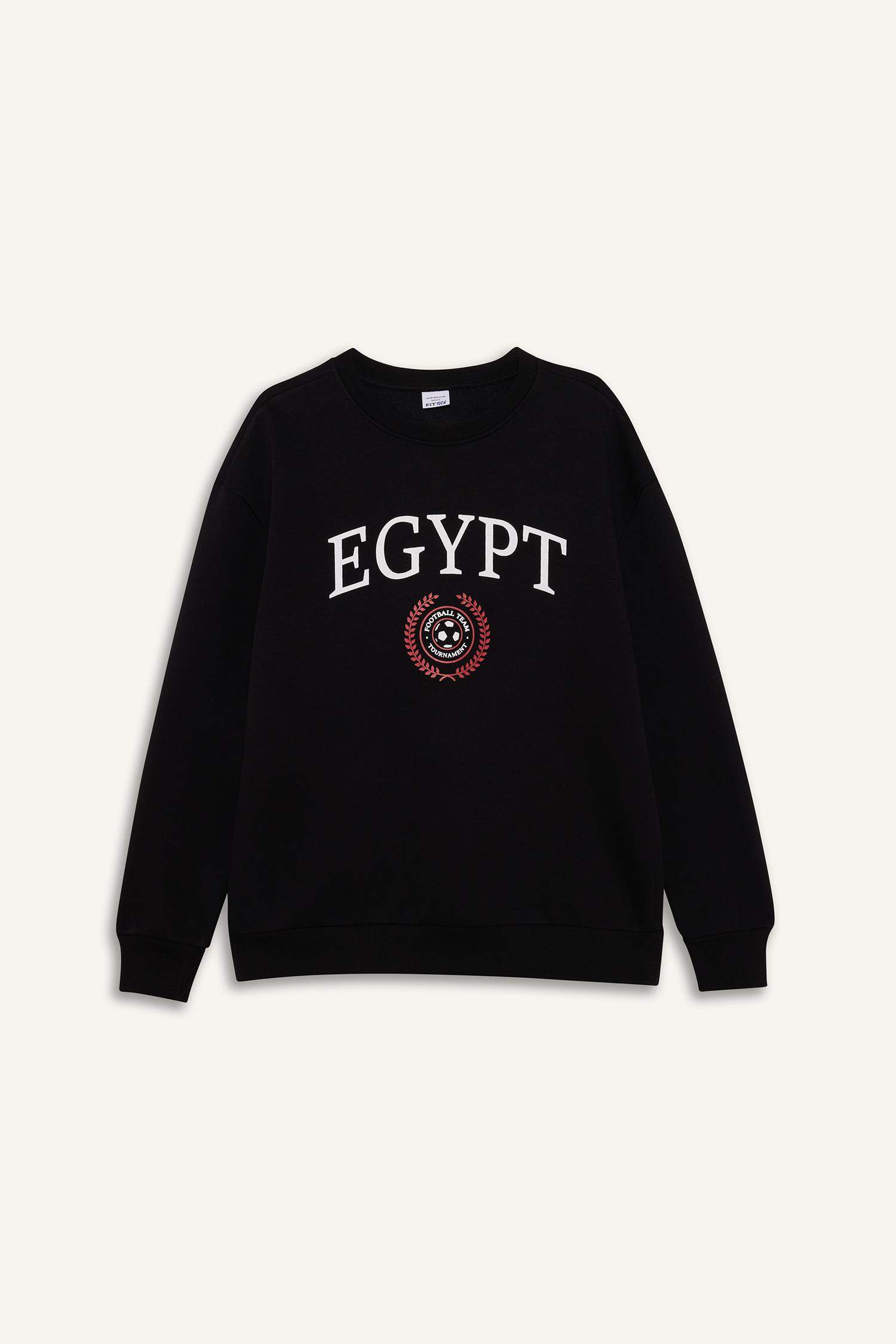 Boxy Fit Egypt Printed Sweatshirt
