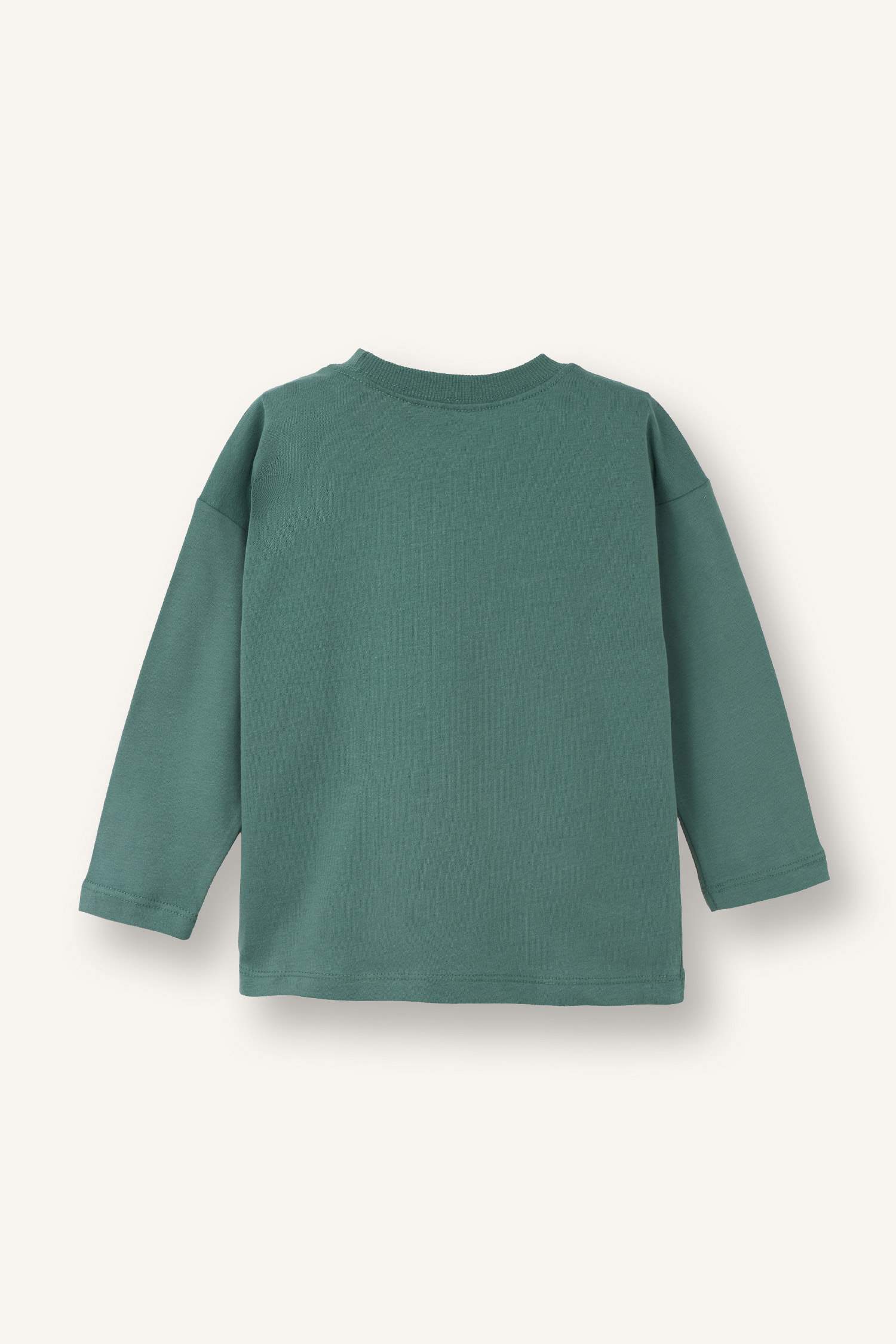 2'li Dinozor Baskılı Tişört Erkek Bebek