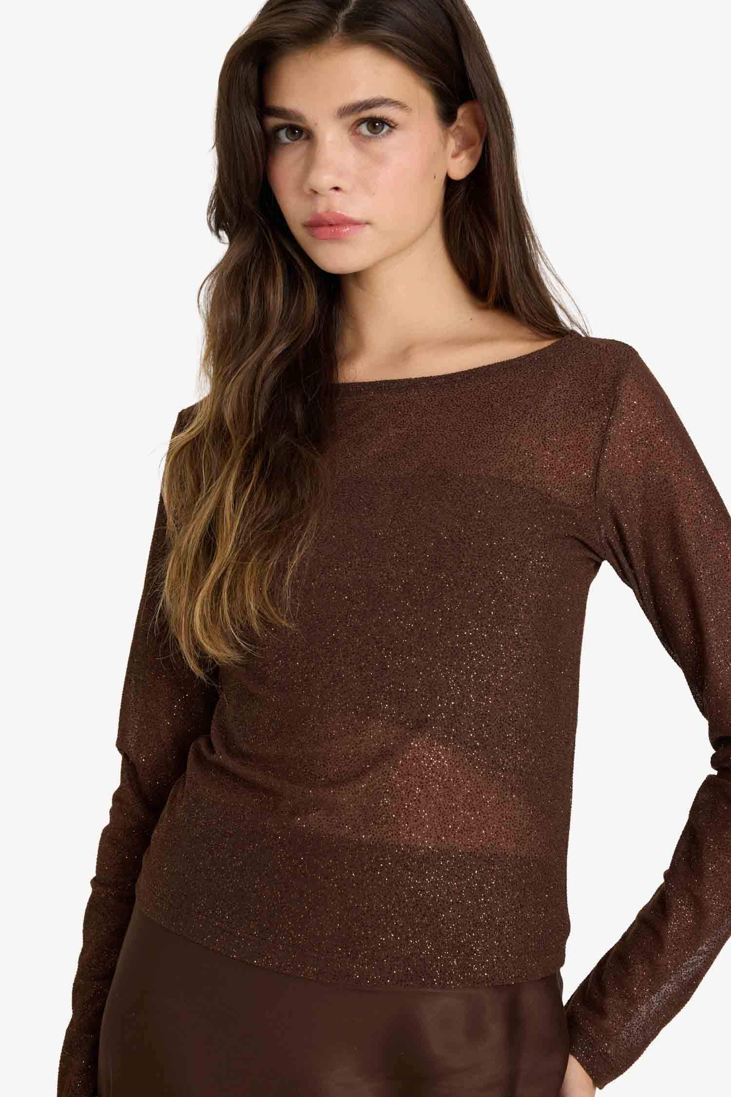 Fitted Kayık Yaka Simli Kumaş Uzun Kollu Bluz