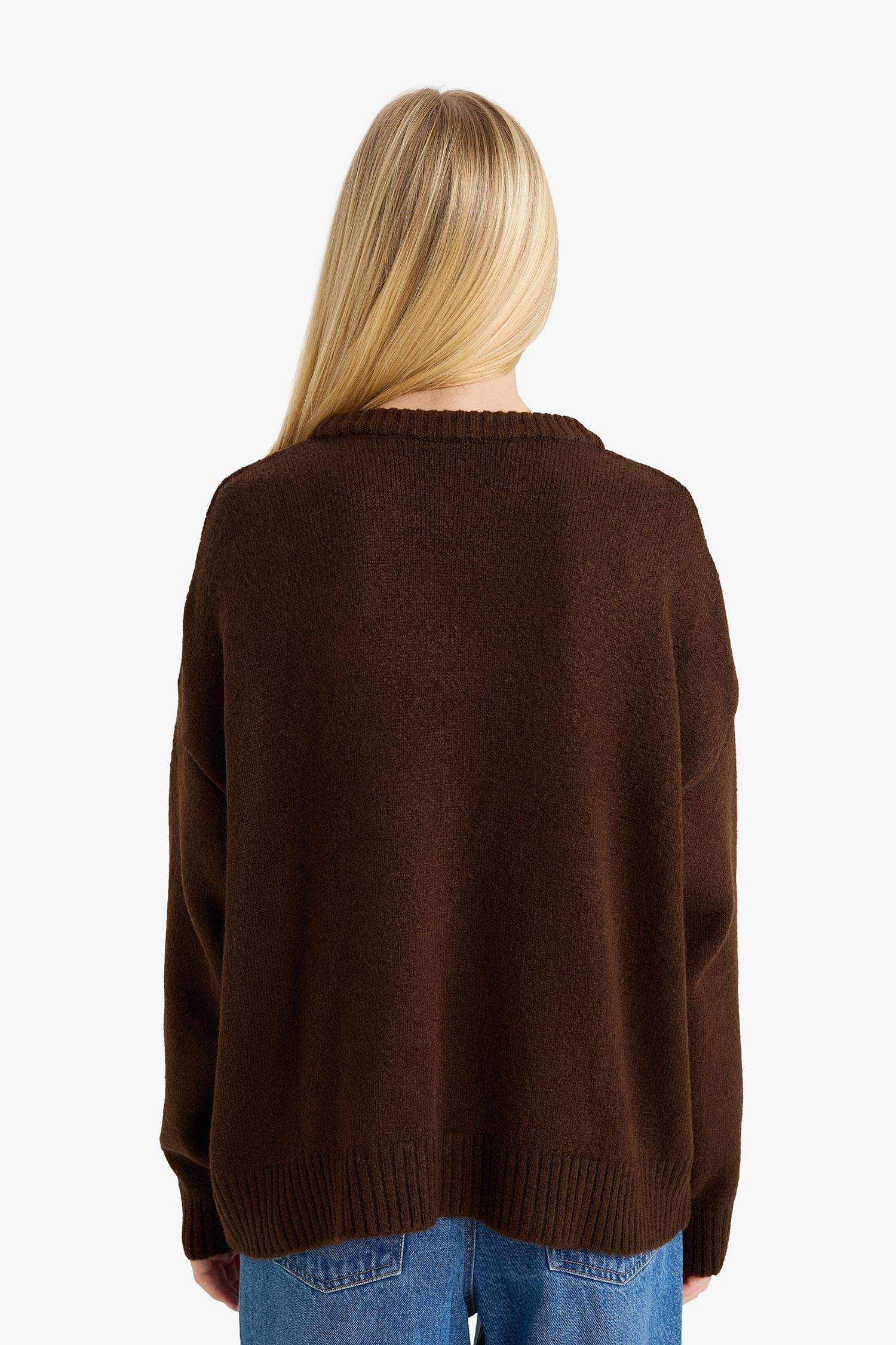 Regular Fit Bisiklet Yaka Köpek Desenli Triko Kazak