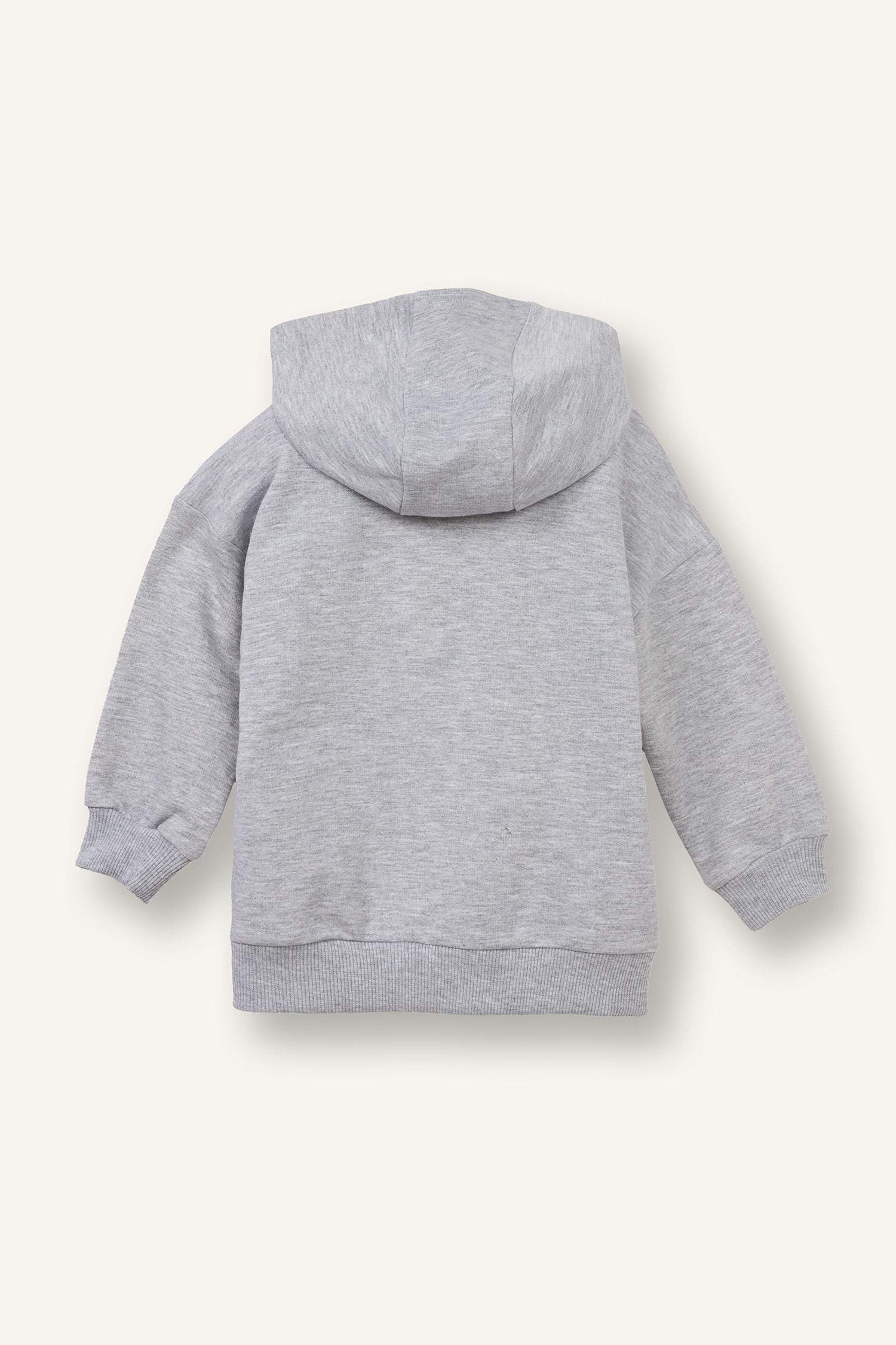 Комплект из 2 свитшотов из свитшотной ткани с капюшоном Regular Fit для малышей мальчики