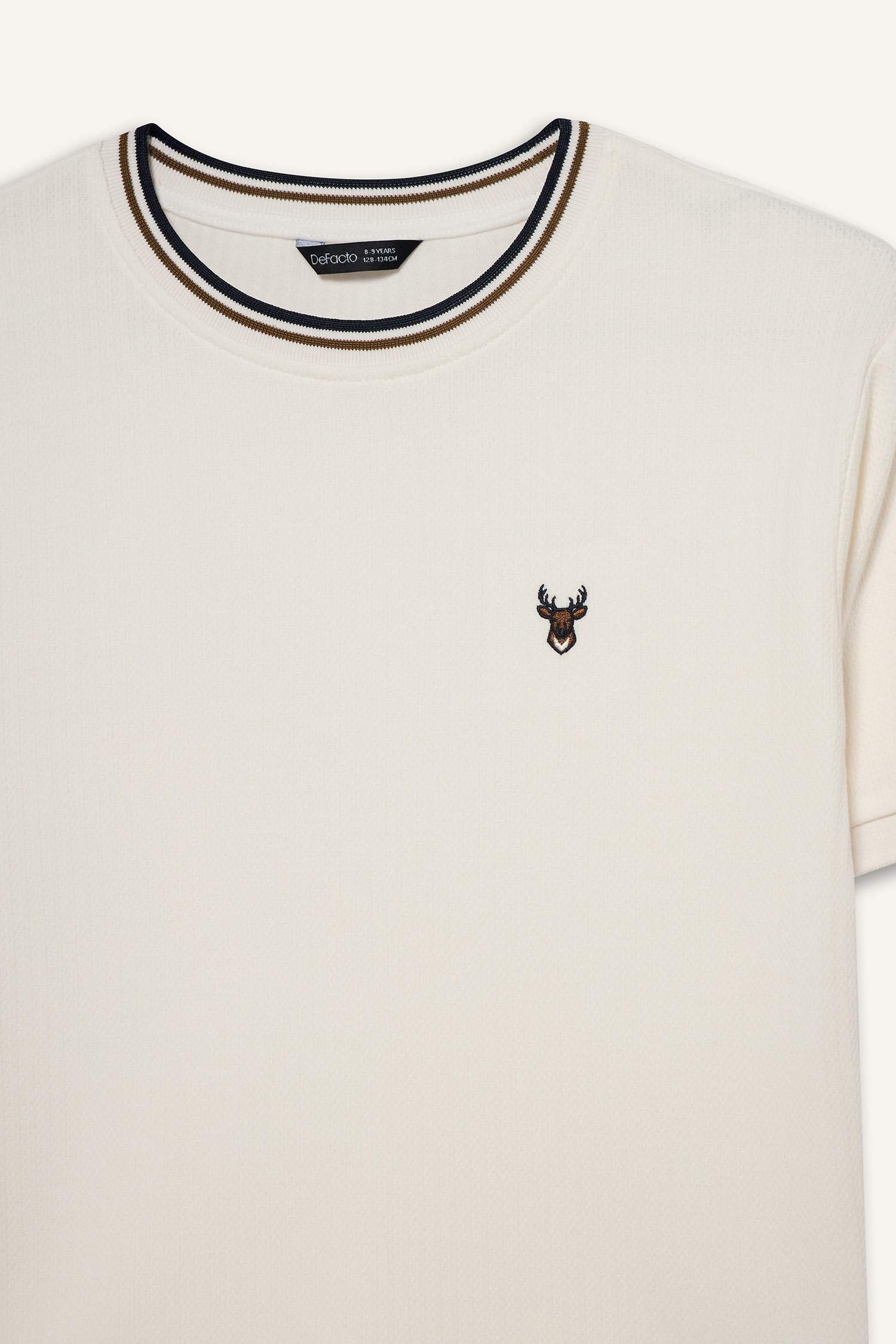 Nakışlı Tişört Erkek Çocuk