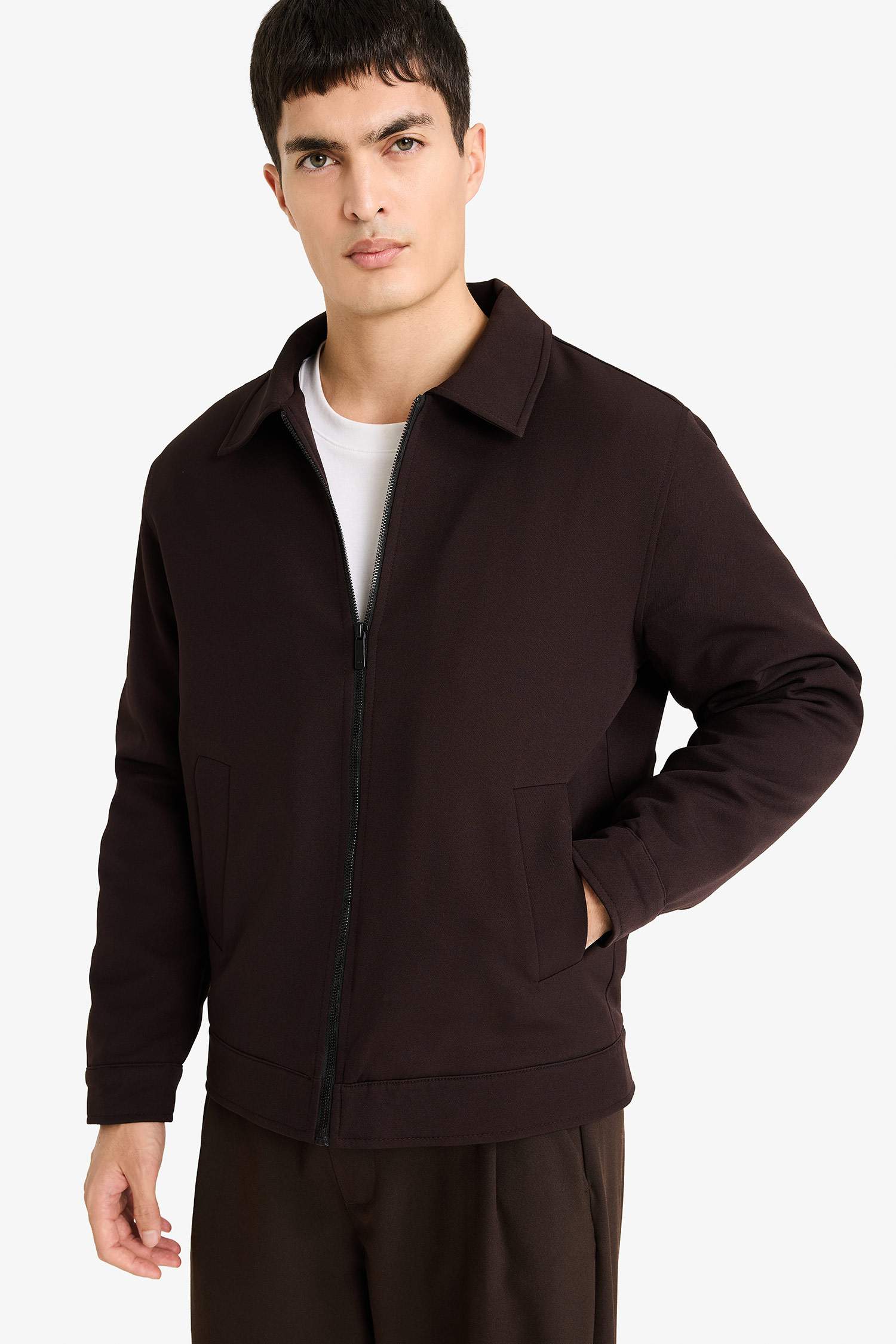 جاكيت خفيف قصة عادية بياقة قميص مبطن