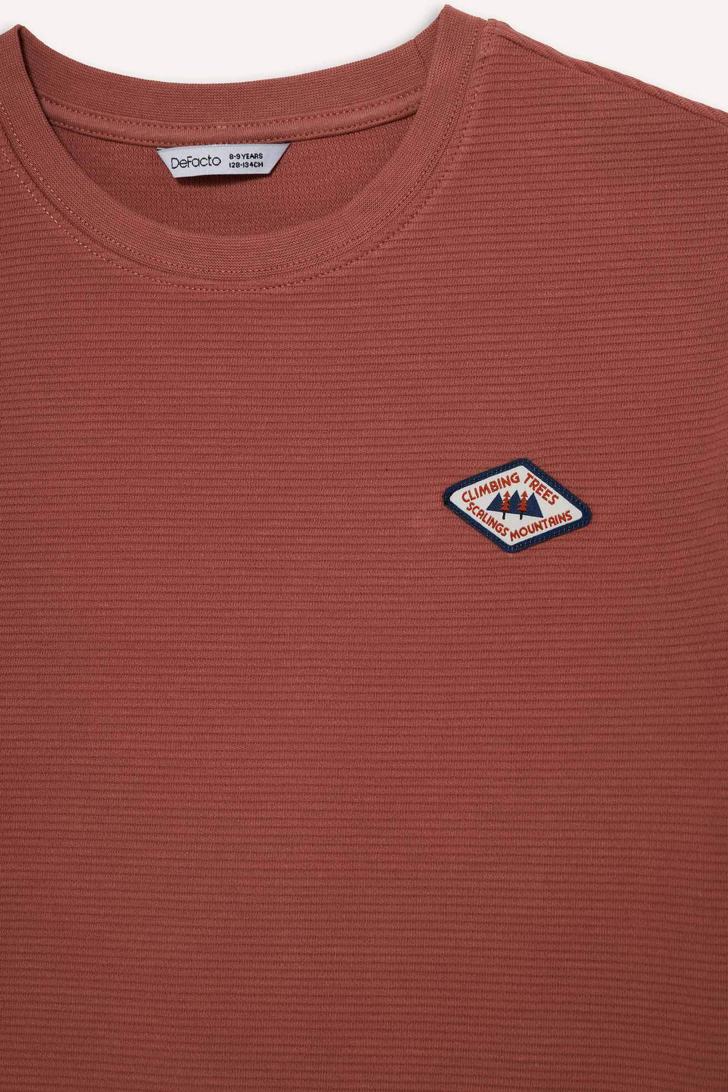 Ұлдарға арналған Oversize дөңгелек жағалы аппликациялы қысқа жеңді футболка