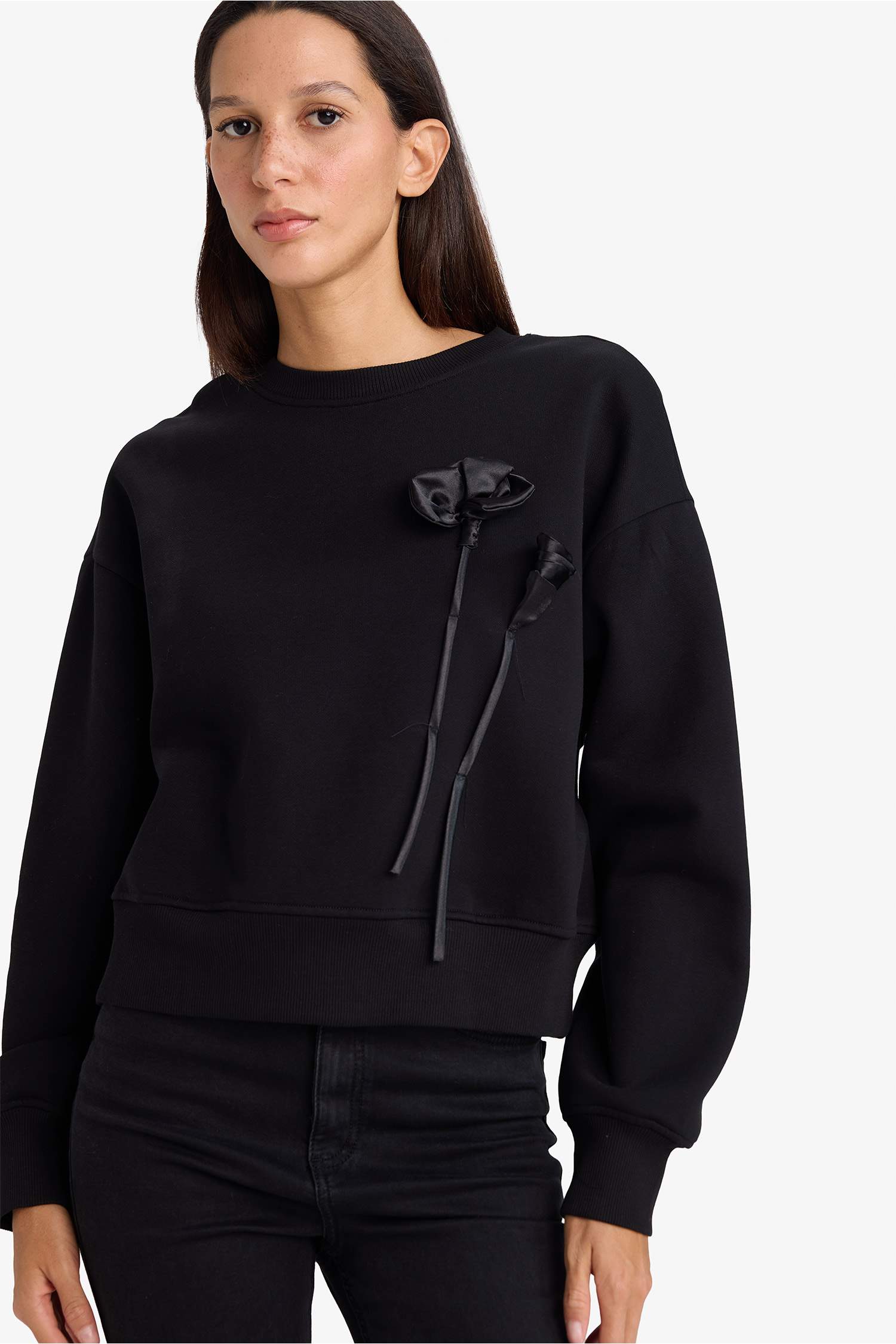 Boxy Fit Bisiklet Yaka Aplike Kalın Sweatshirt