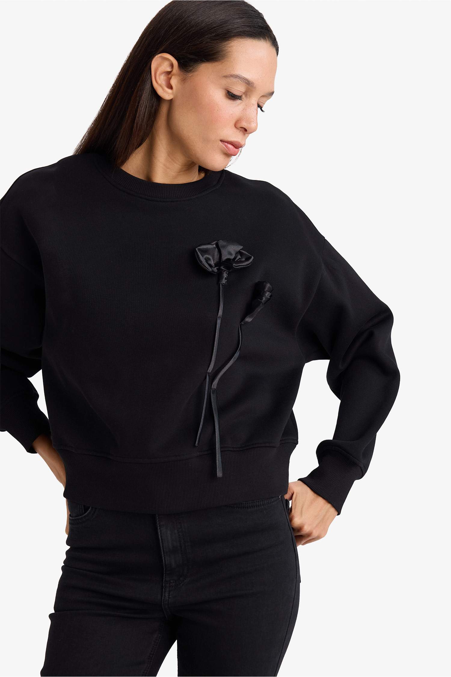 Boxy Fit Bisiklet Yaka Aplike Kalın Sweatshirt