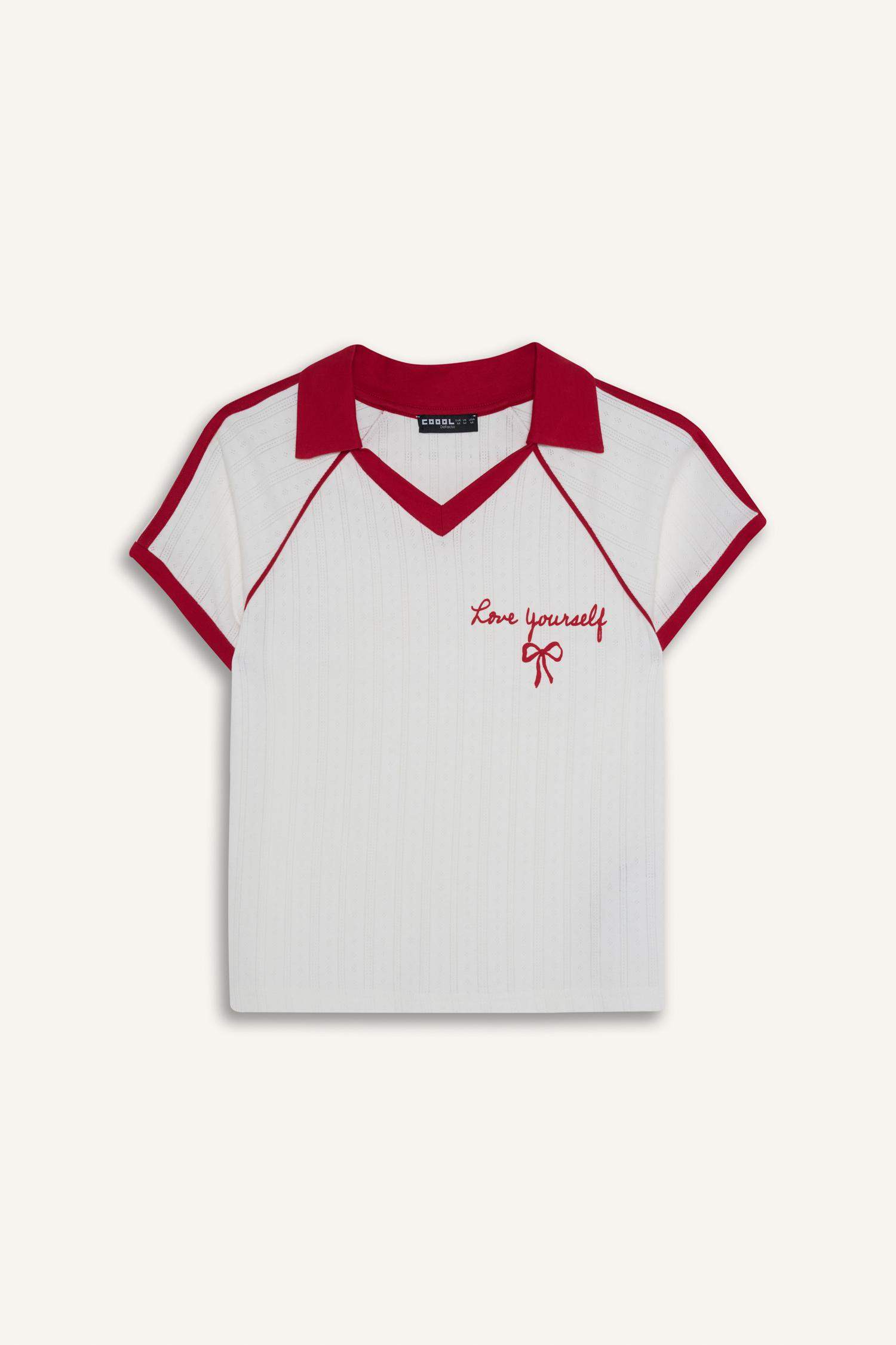 Fıtted Nakışlı Tişört