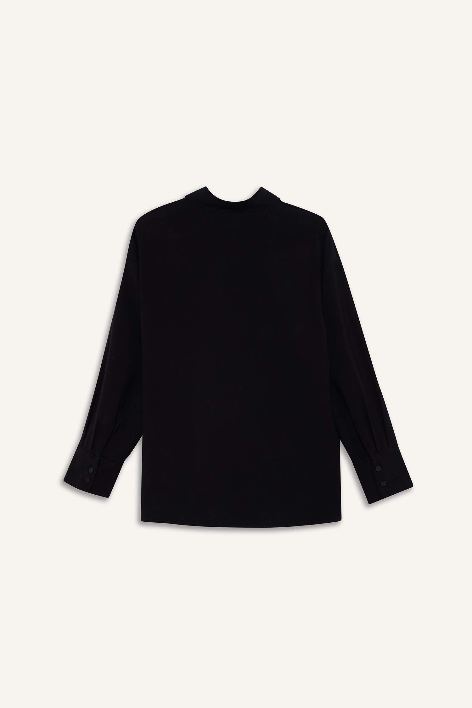 Regular Fit Uzun Kollu Gömlek