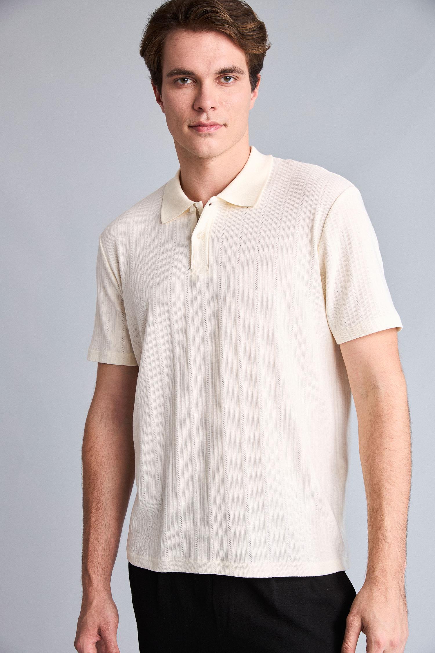 DeFacto Pamuklu Regular Fit Polo Tişört görsel 2