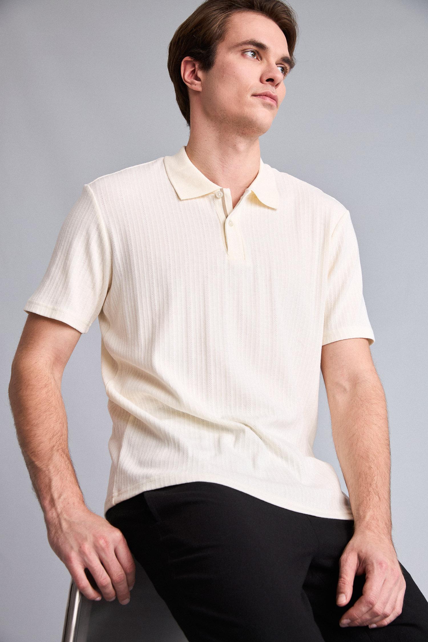 DeFacto Pamuklu Regular Fit Polo Tişört görsel 4