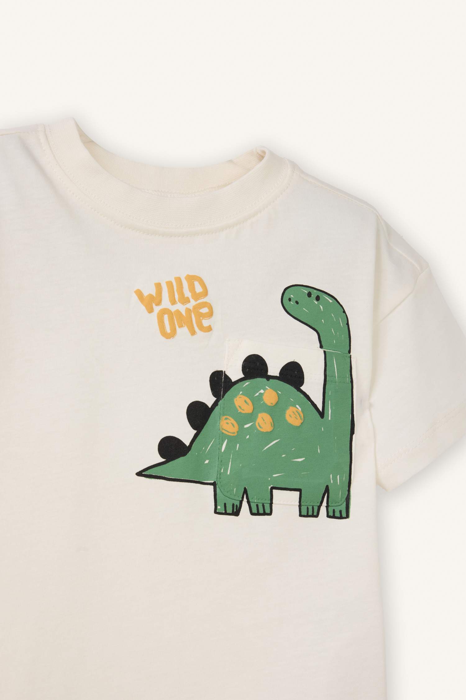 Baby Boy Regular Fit Dinosaur Print T-Shirt
