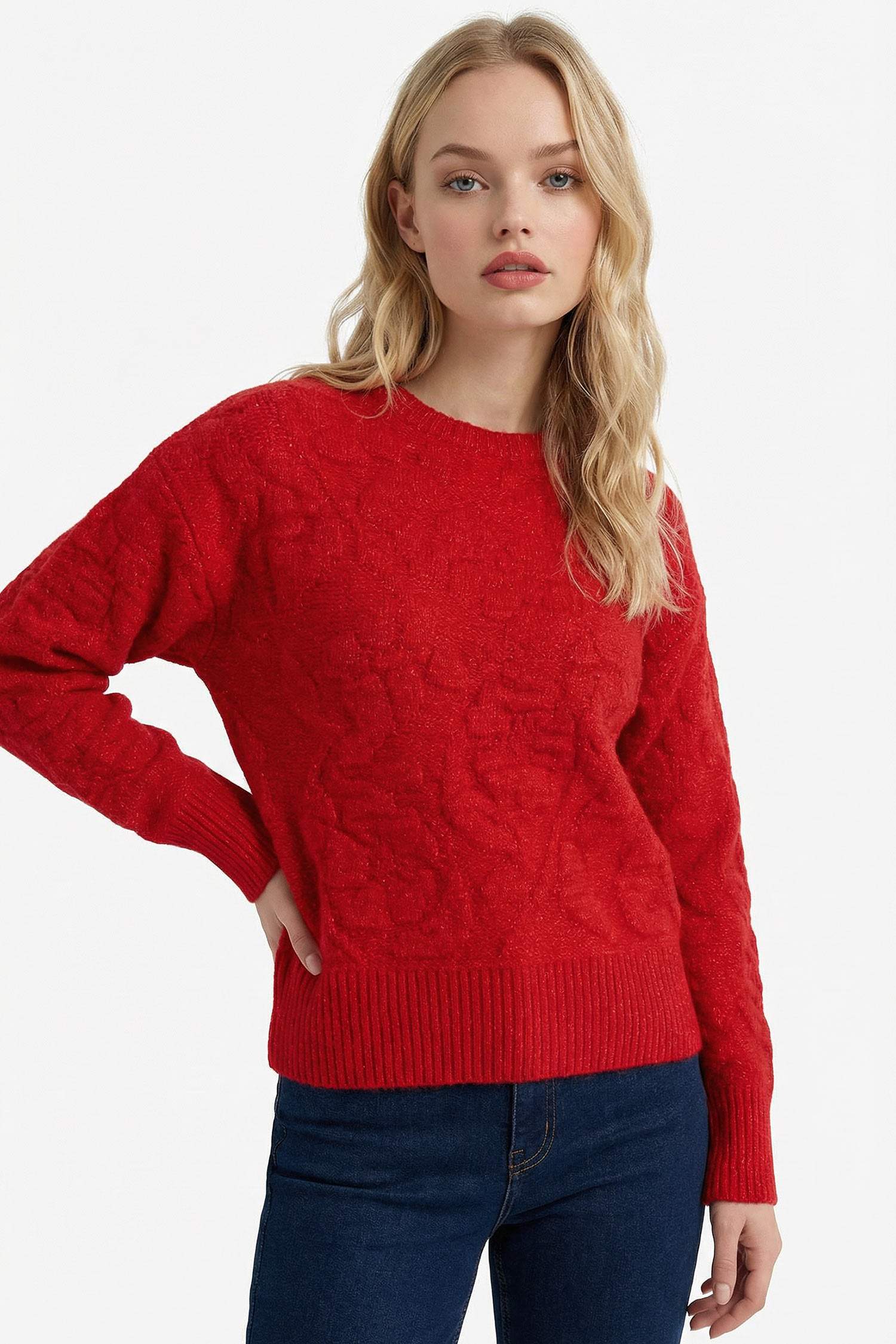 Regular Fit Bisiklet Yaka Kazak