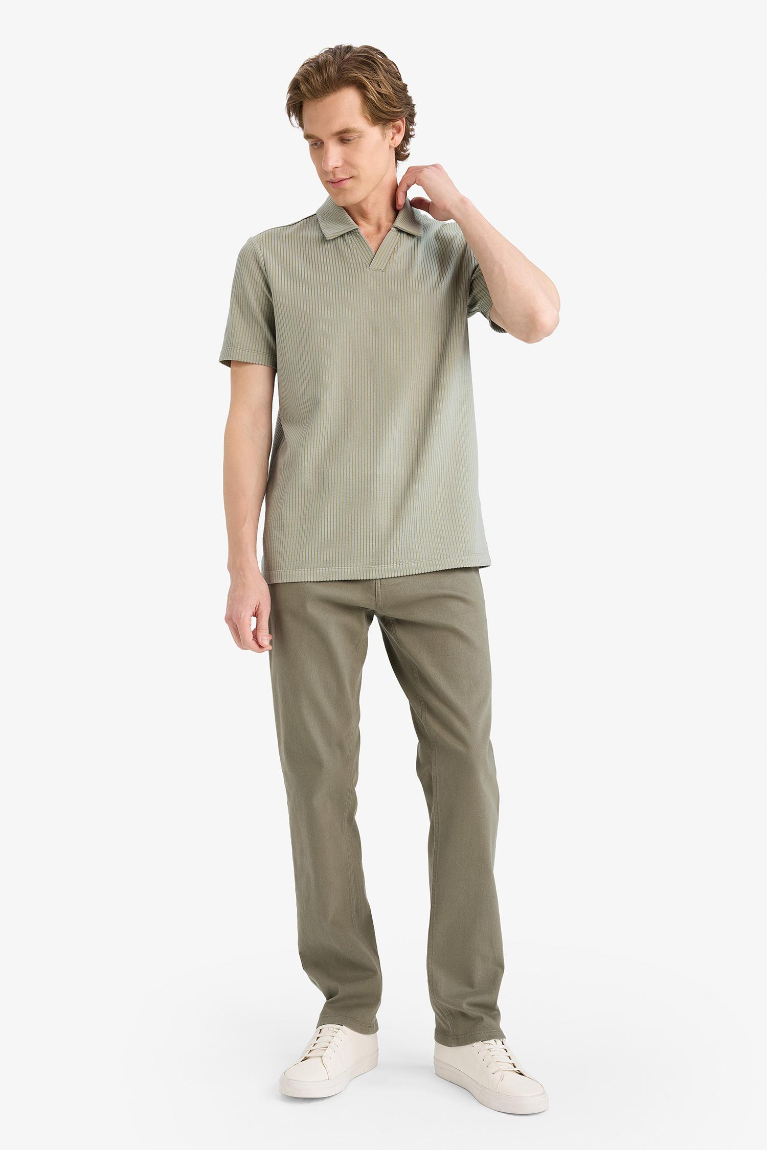 DeFacto Pamuklu REGULAR FIT Polo Yaka Tişört görsel 2