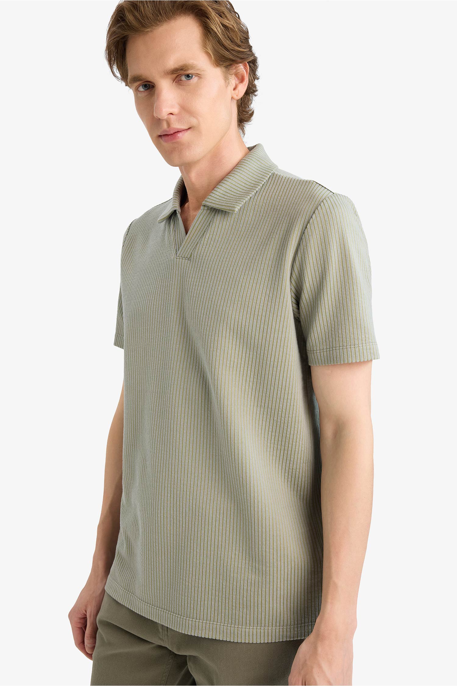 DeFacto Pamuklu REGULAR FIT Polo Yaka Tişört görsel 3