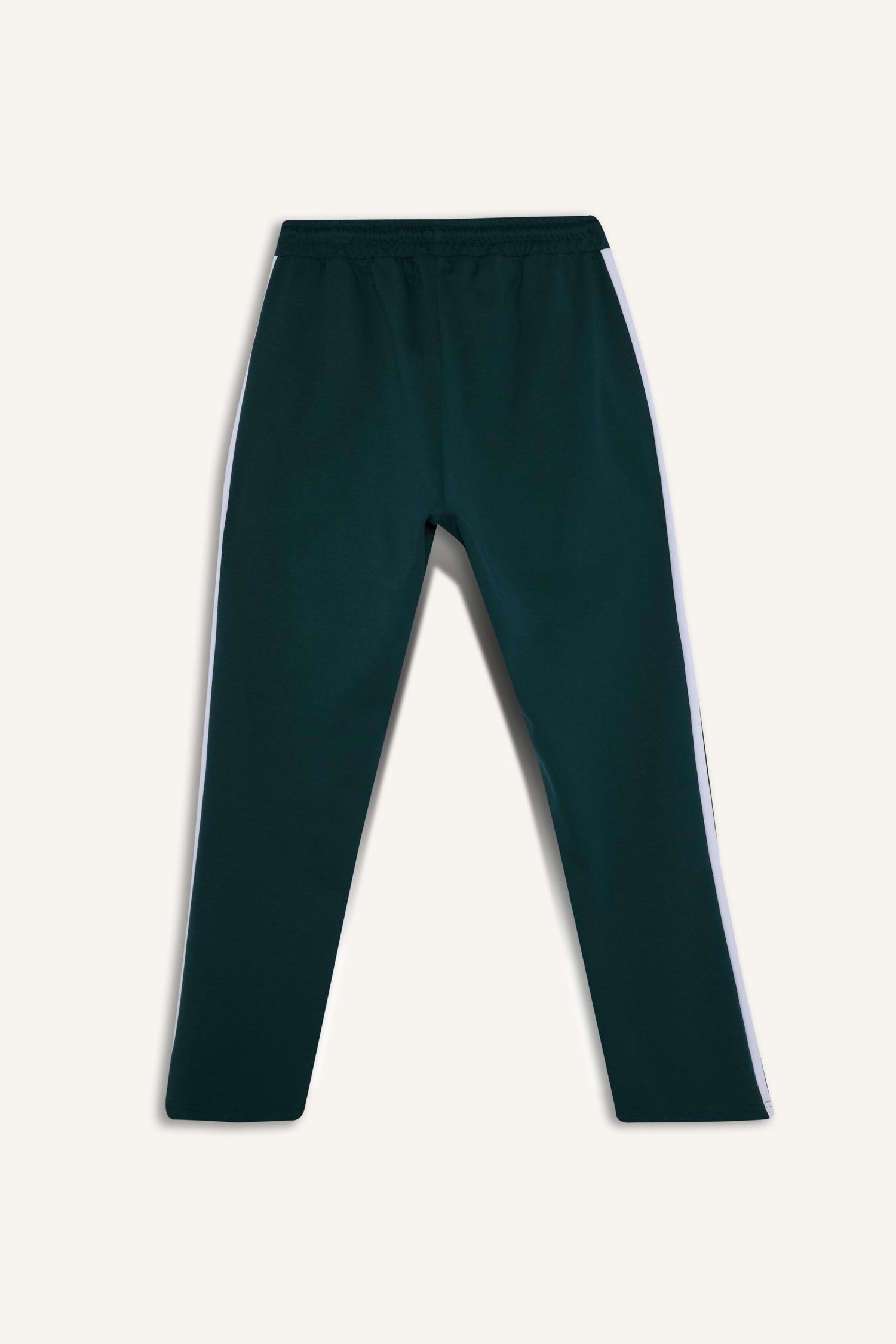 DeFacto Standart Fıt Jogger Eşofman Altı görsel 6
