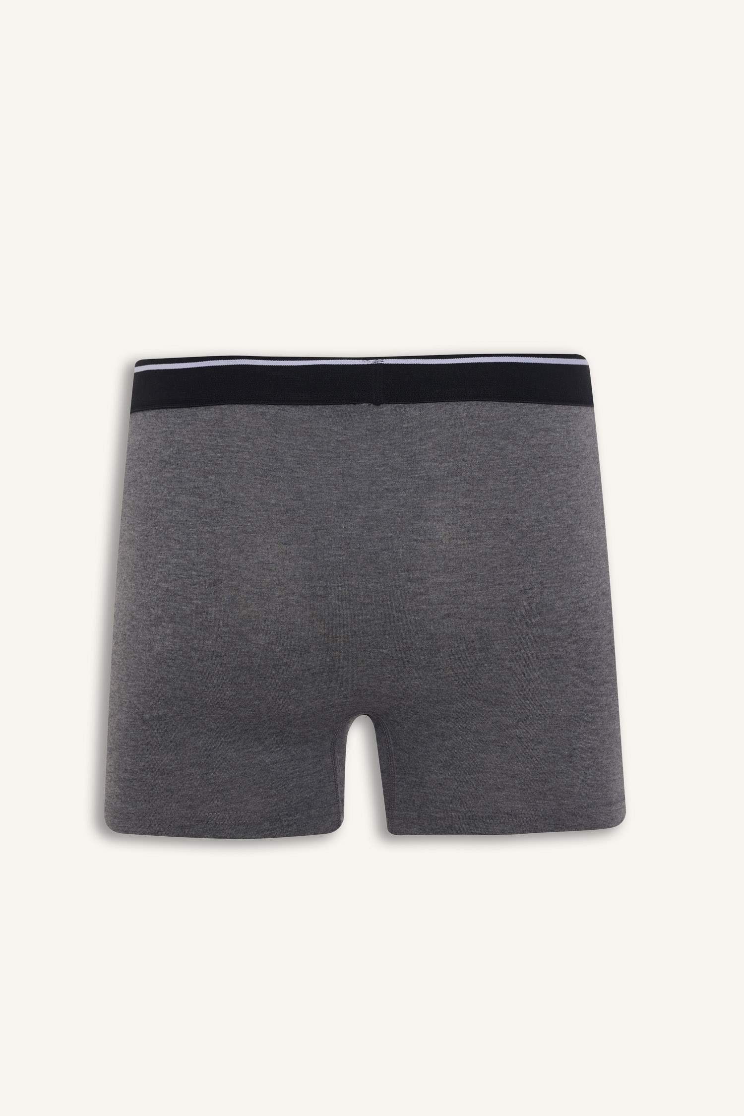 Regular Fıt 3'lü Boxer