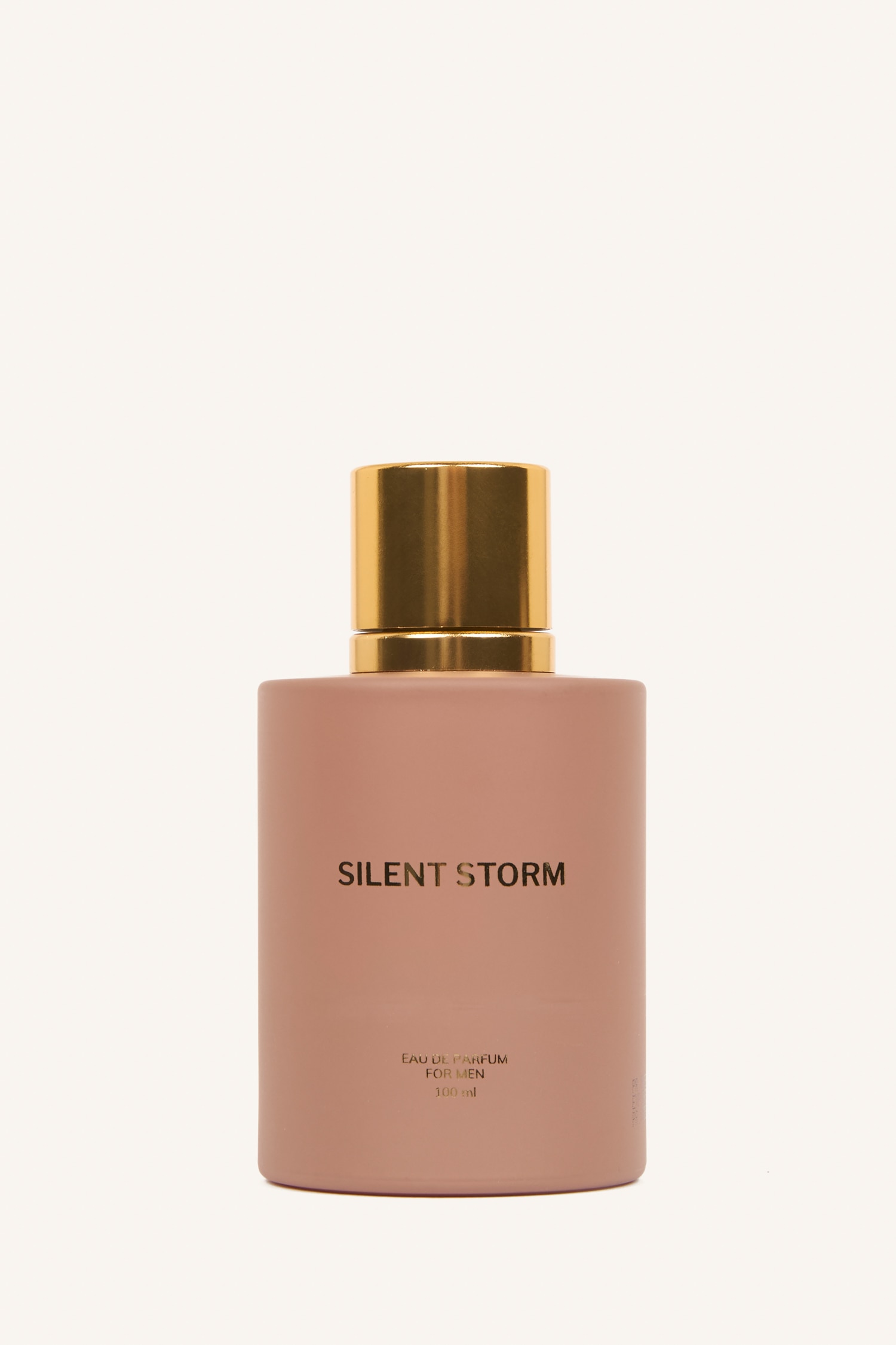 DeFacto Erkek 100 ml Silent Storm Parfüm