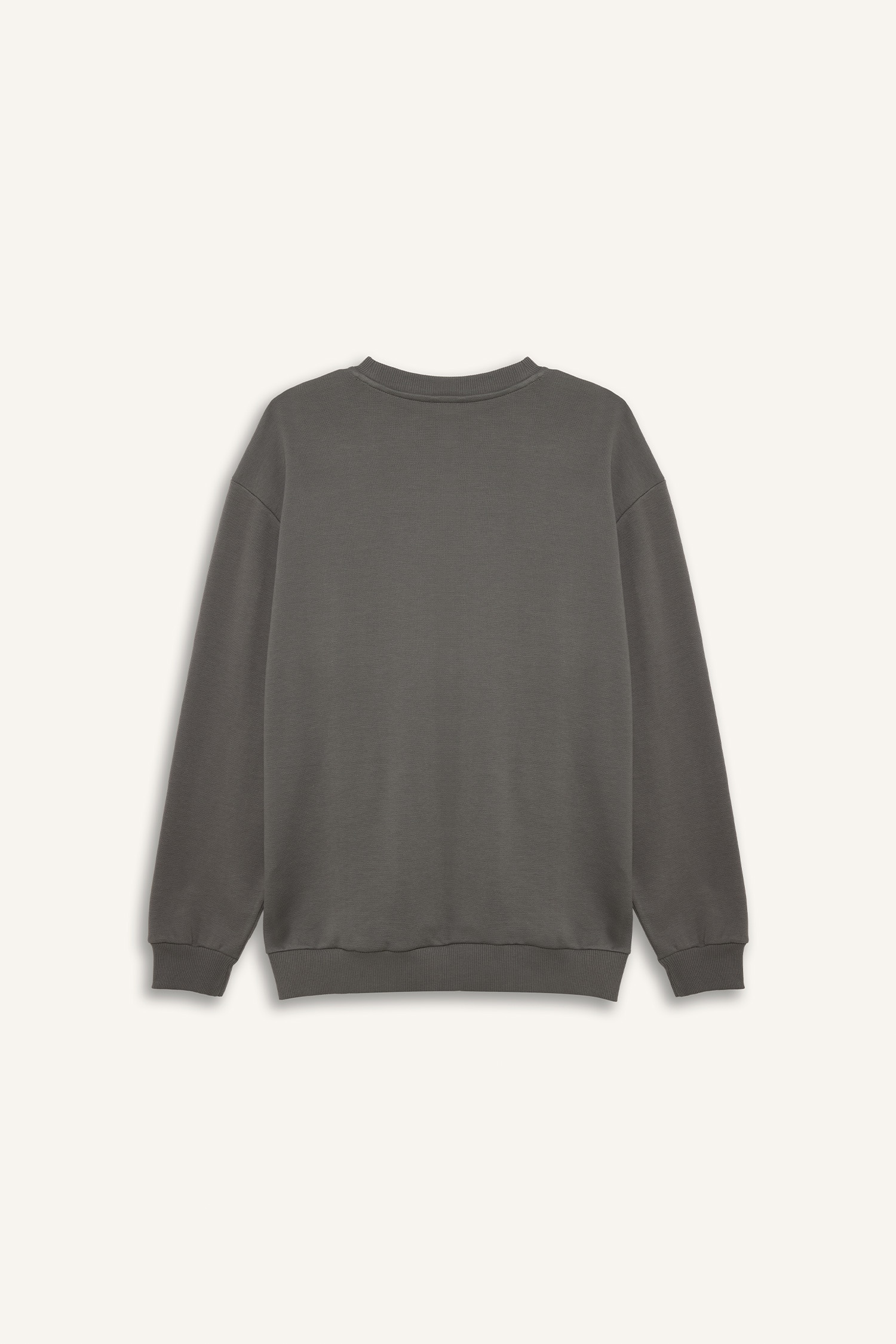 DeFacto Pamuklu Boxy Fıt Büyük Beden Bisiklet Yaka Pike Sweatshirt görsel 3