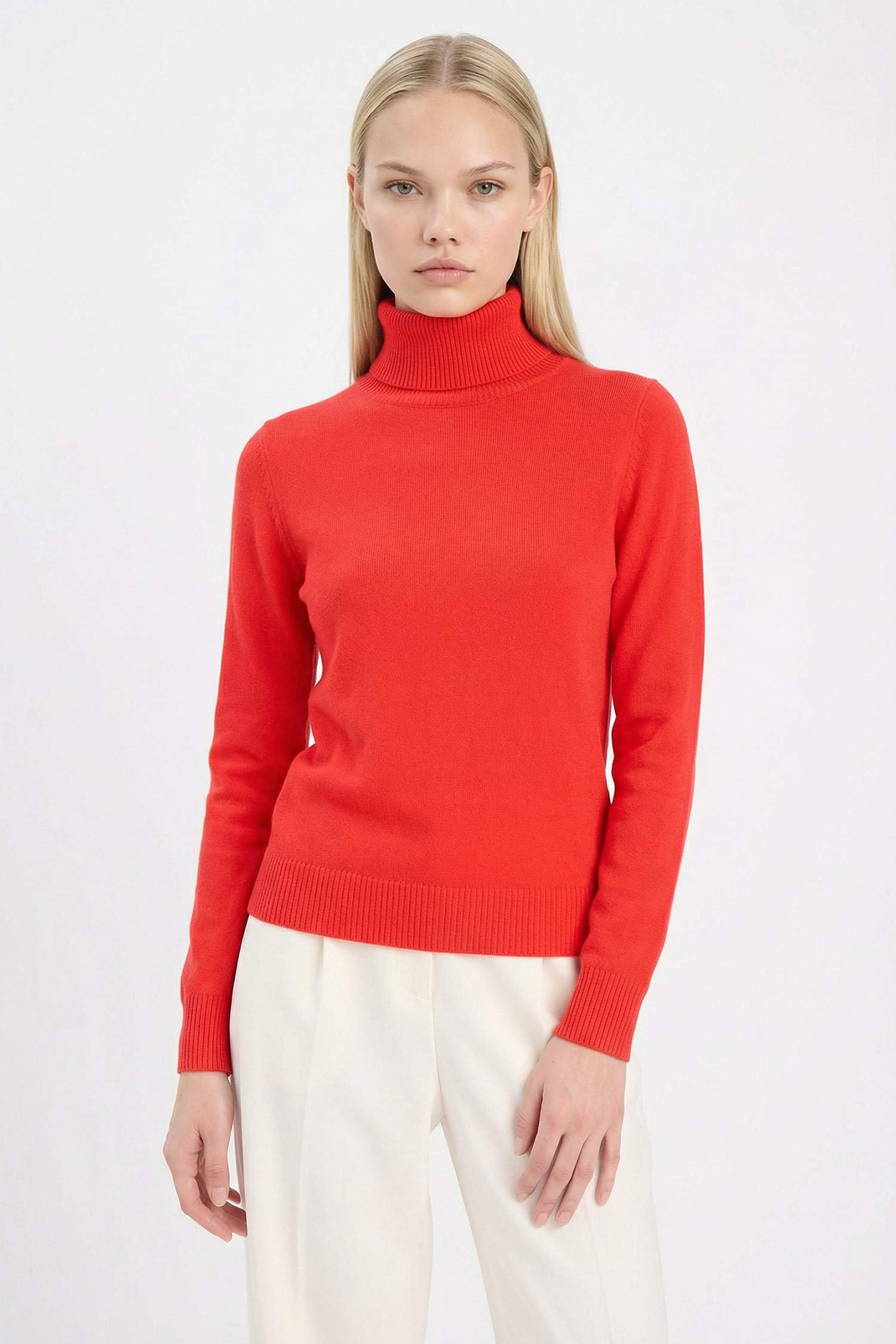 Regular Fit Turtleneck Basic Knit Pullover
