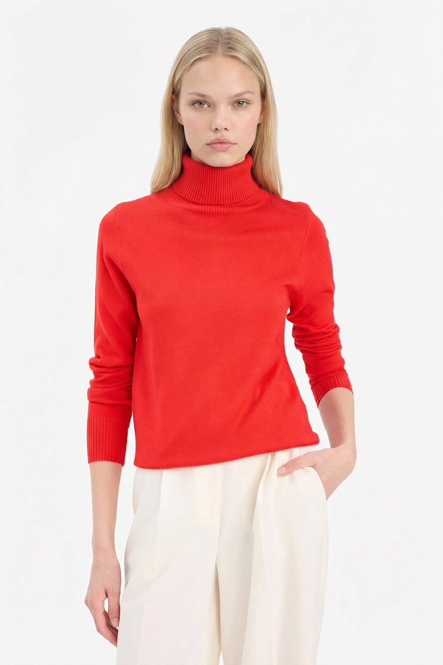 Regular Fit Turtleneck Basic Knit Pullover
