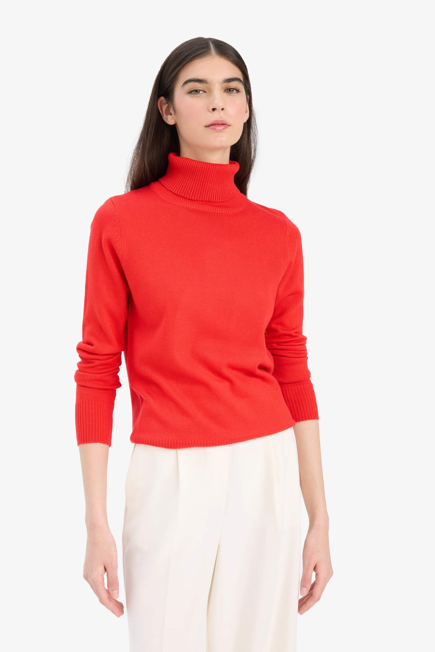 Regular Fit Turtleneck Pullover