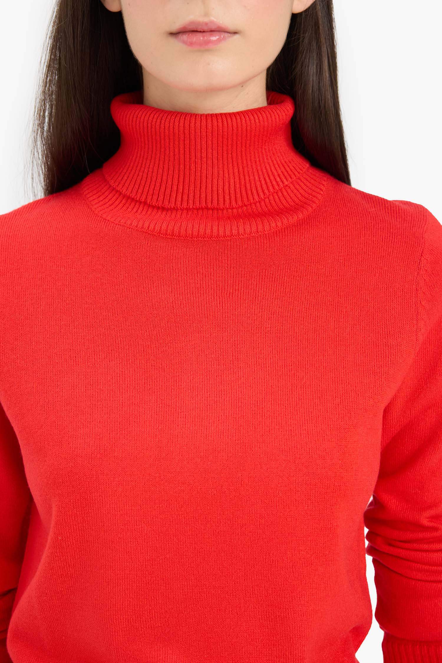 Regular Fit Turtleneck Pullover