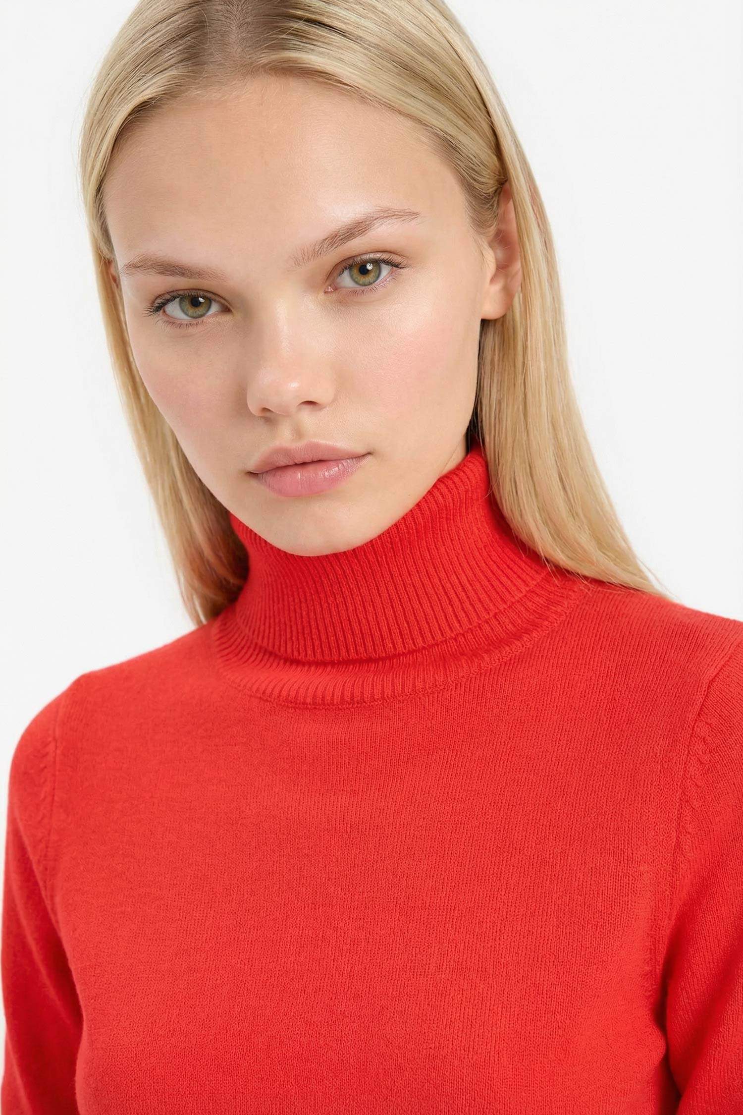 Regular Fit Turtleneck Basic Knit Pullover